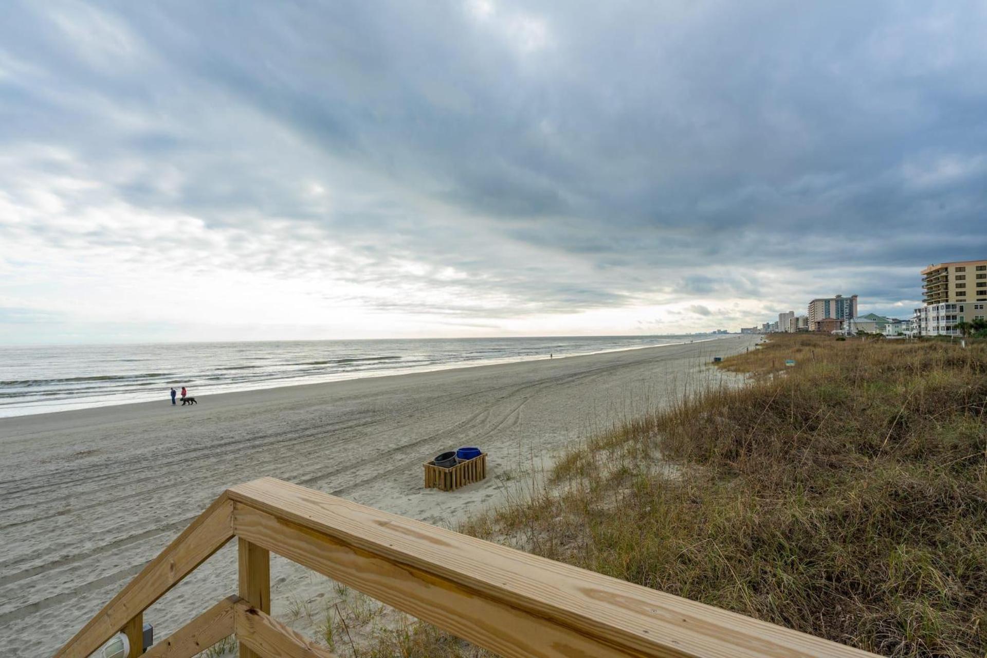 Atlantic Dunes - 101