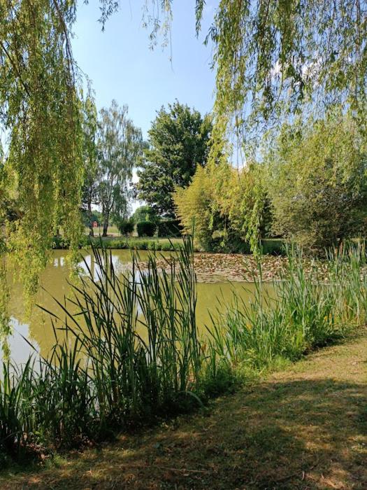 Les Roseaux Comme à la maison prés des châteaux de la Loire