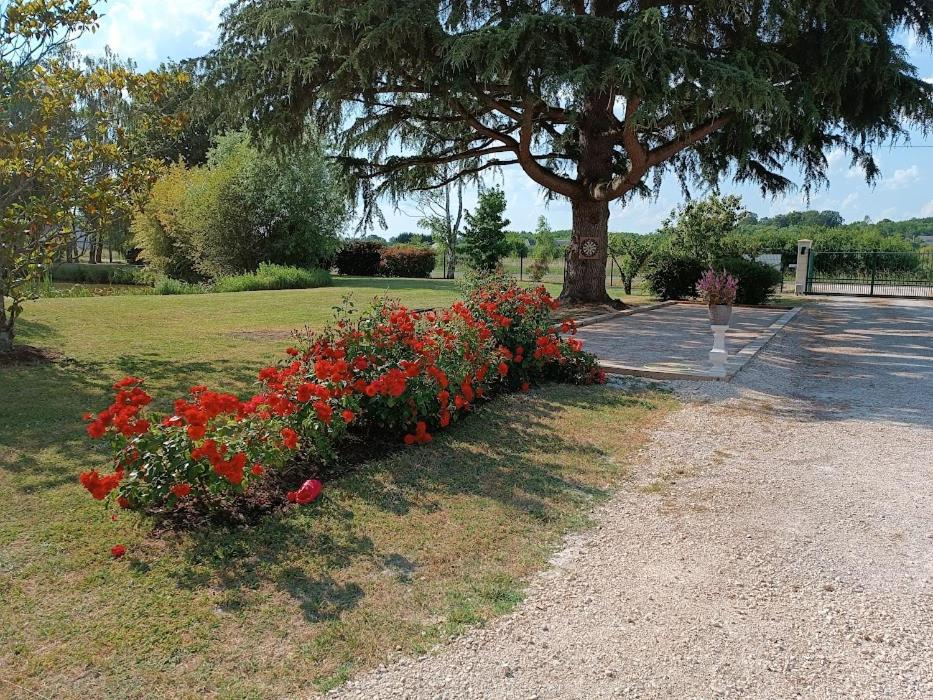 Les Roseaux Comme à la maison prés des châteaux de la Loire