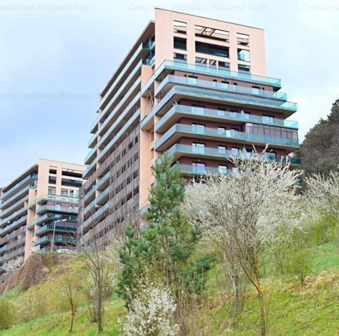 Apartament “La Iepure” view 4