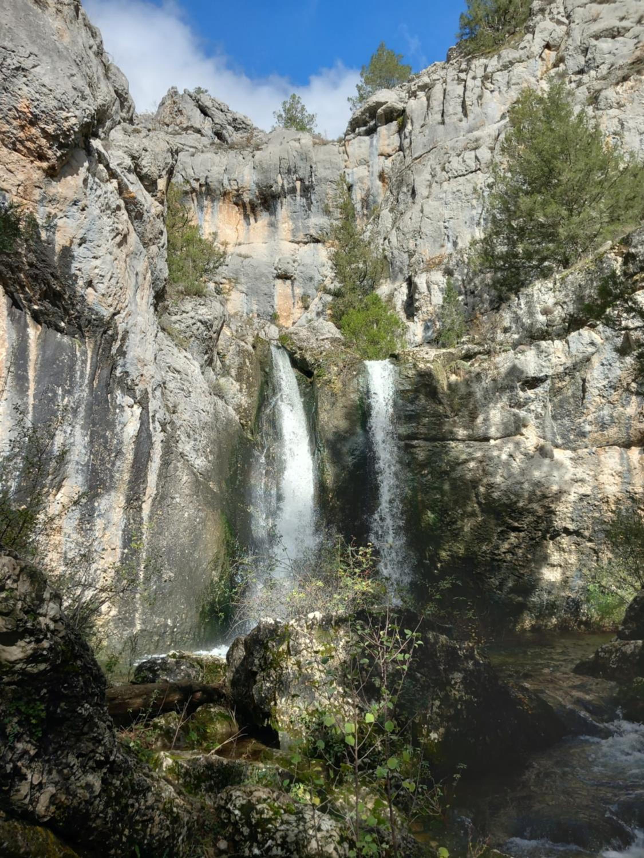 Photo 45