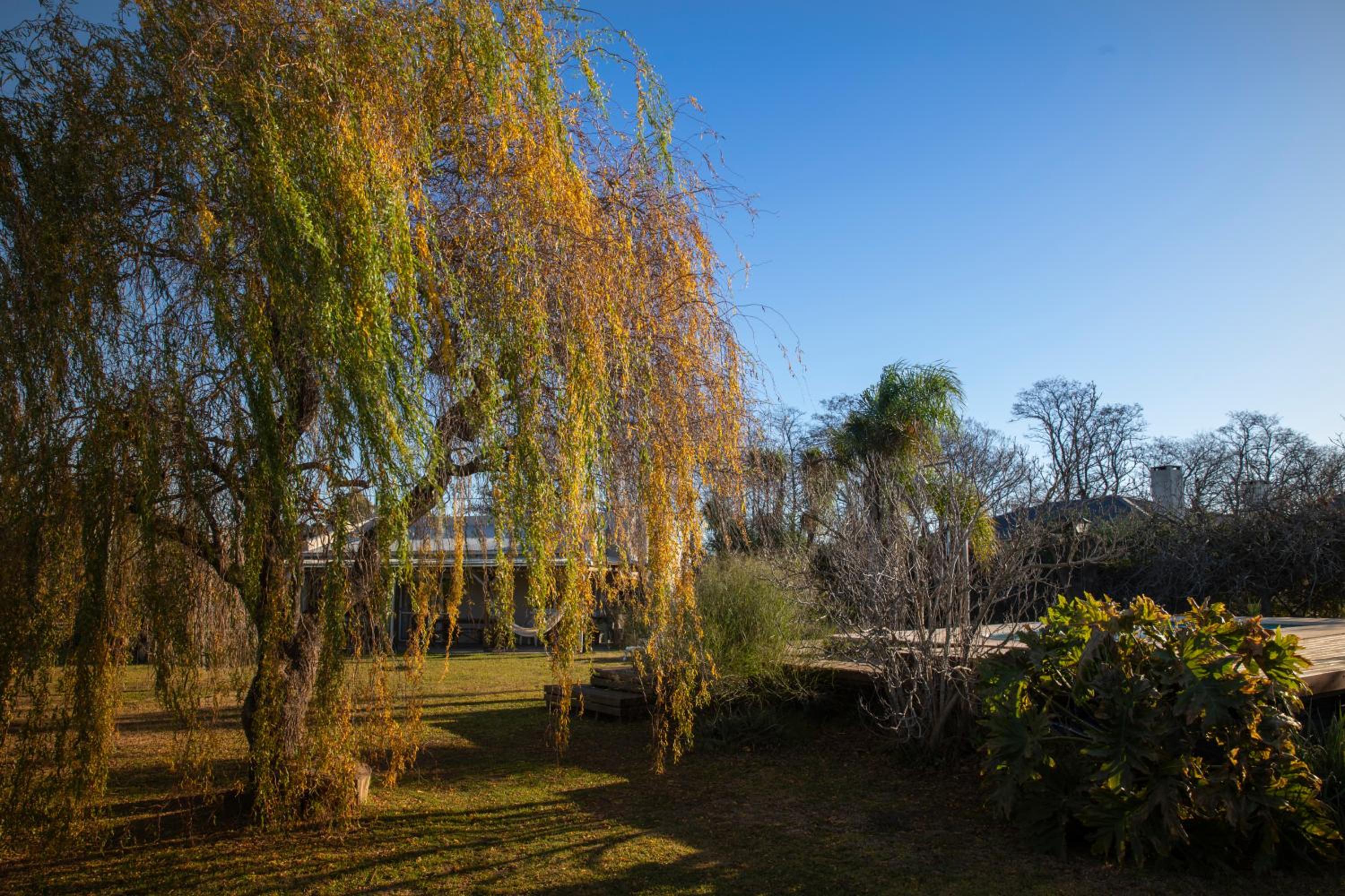 Raices Chivilcoy