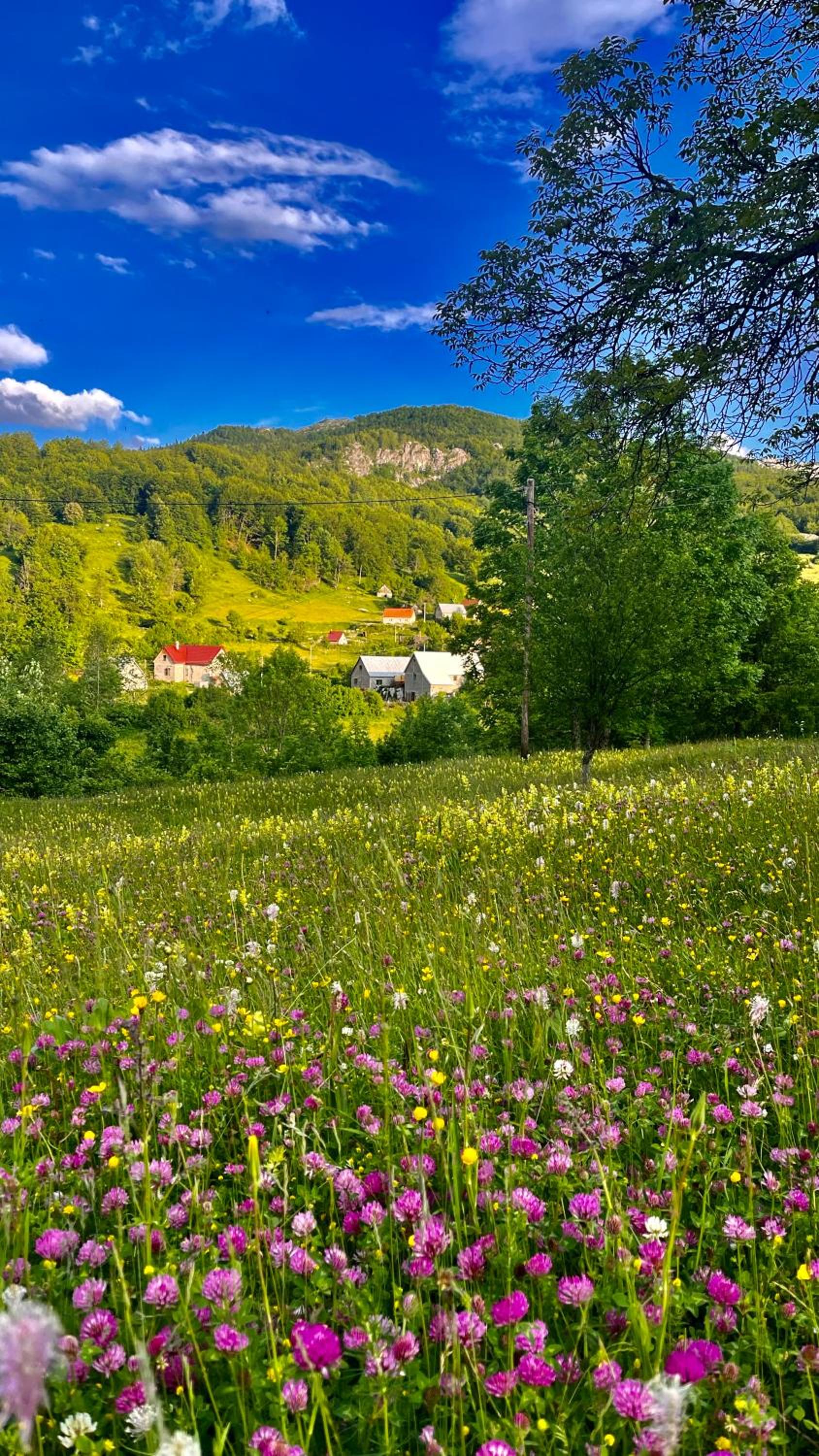 Stara kuća Smrijačno