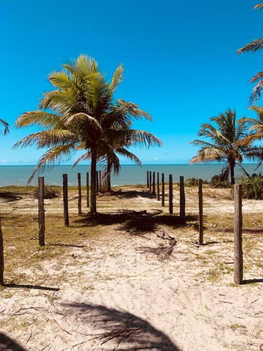 Loft à beira mar- Caraiva