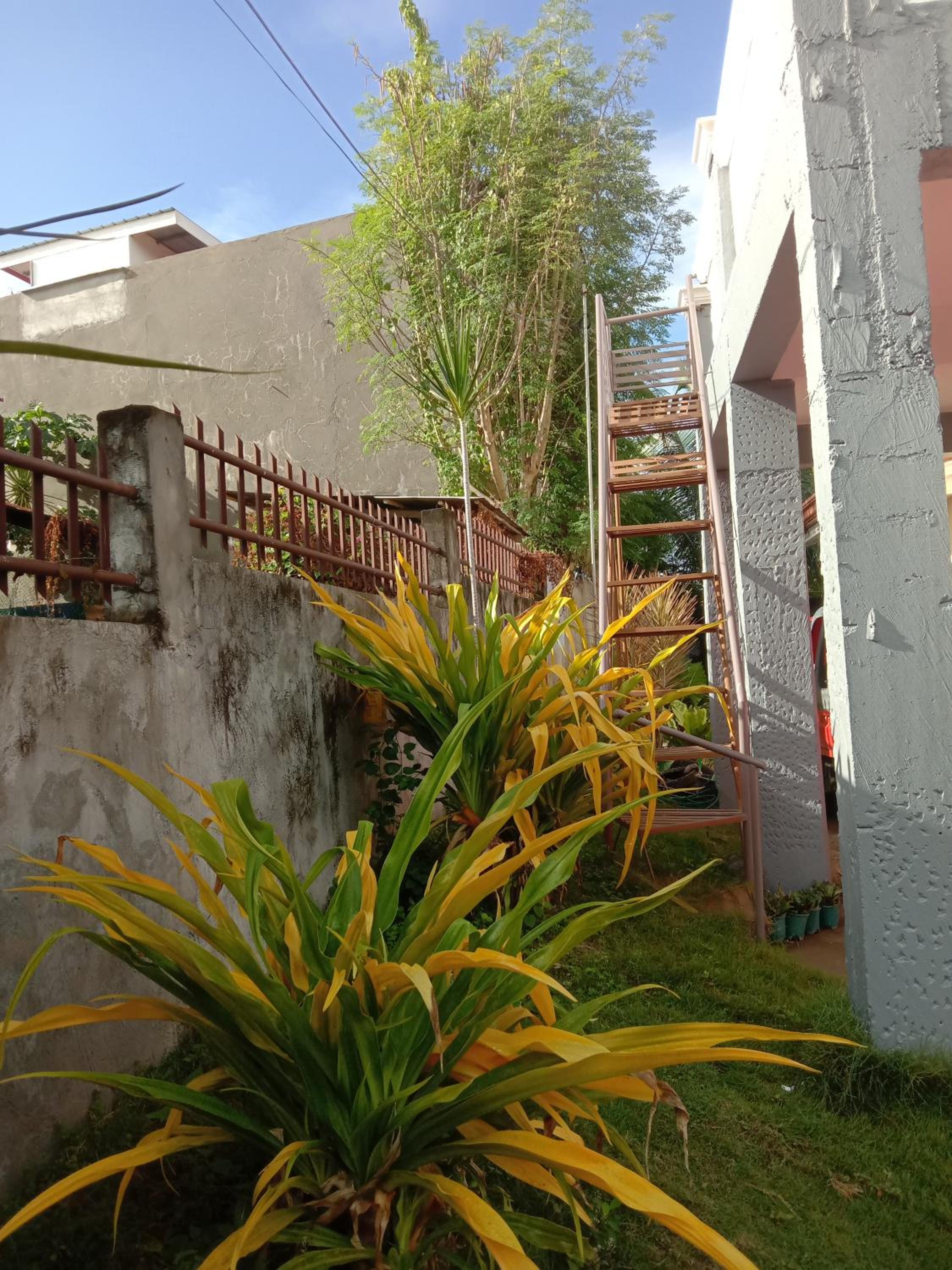 Friz Love Room Rental view 3
