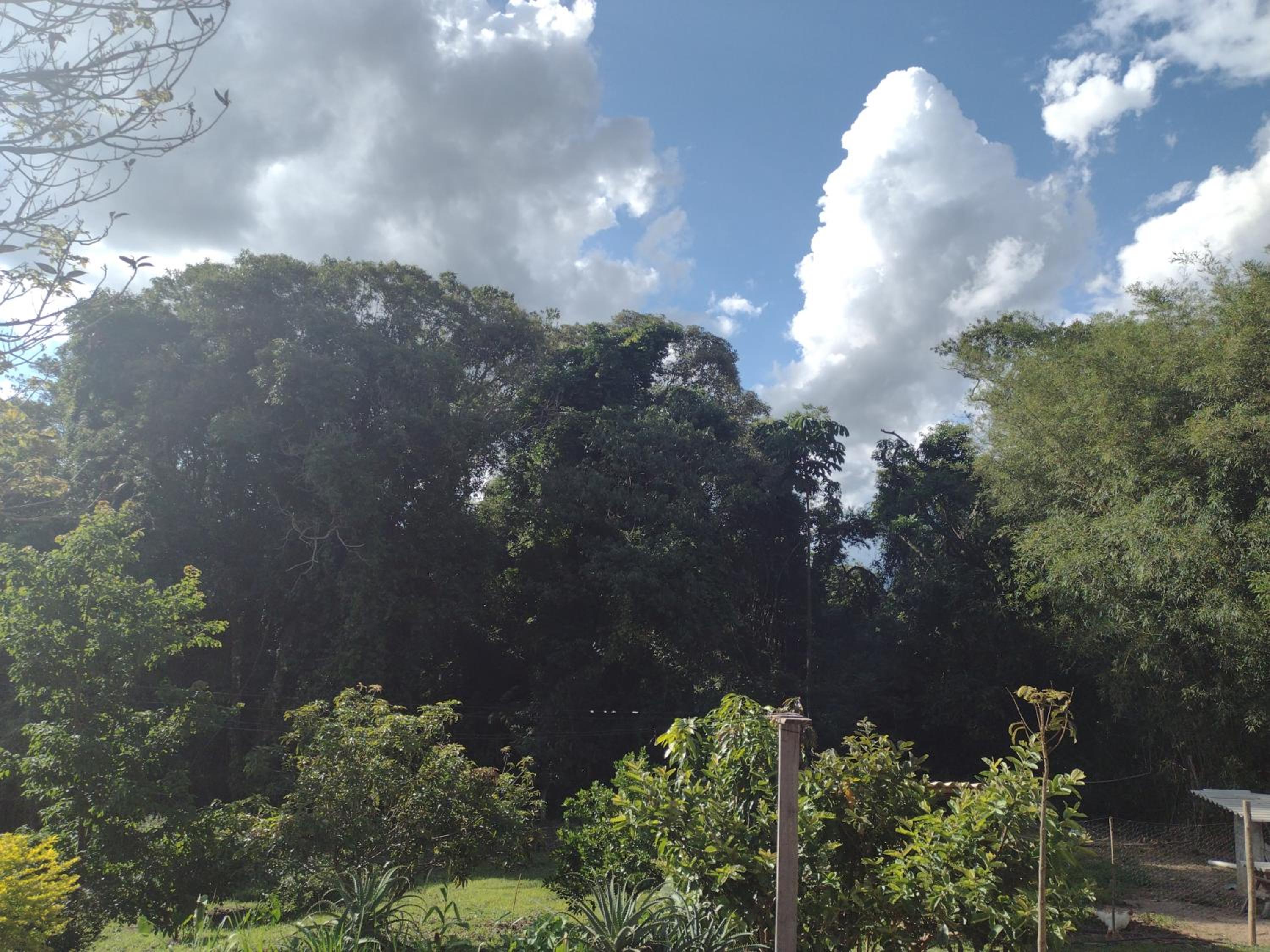 Chácara pão de açúcar