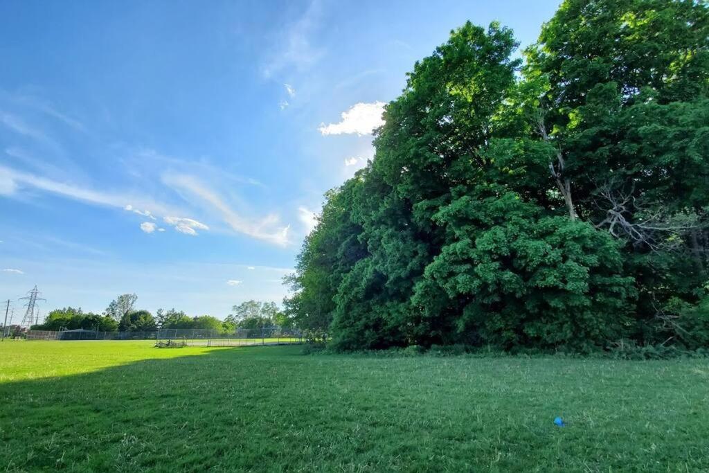 Entire Basement - 5 Guests 2 Bedrooms 3 Beds