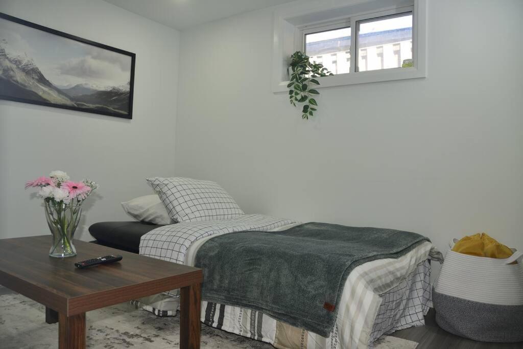 Entire Basement - 5 Guests 2 Bedrooms 3 Beds