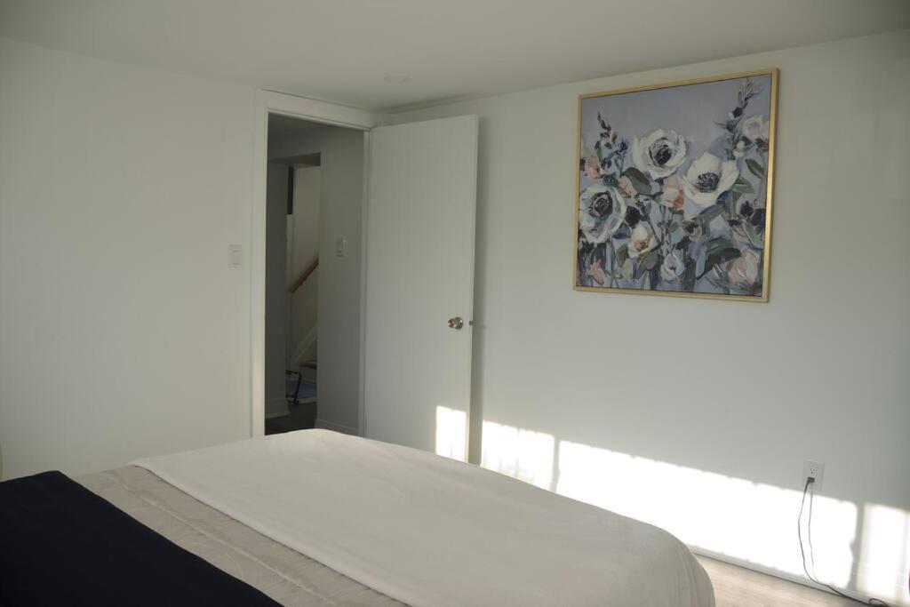 Entire Basement - 5 Guests 2 Bedrooms 3 Beds