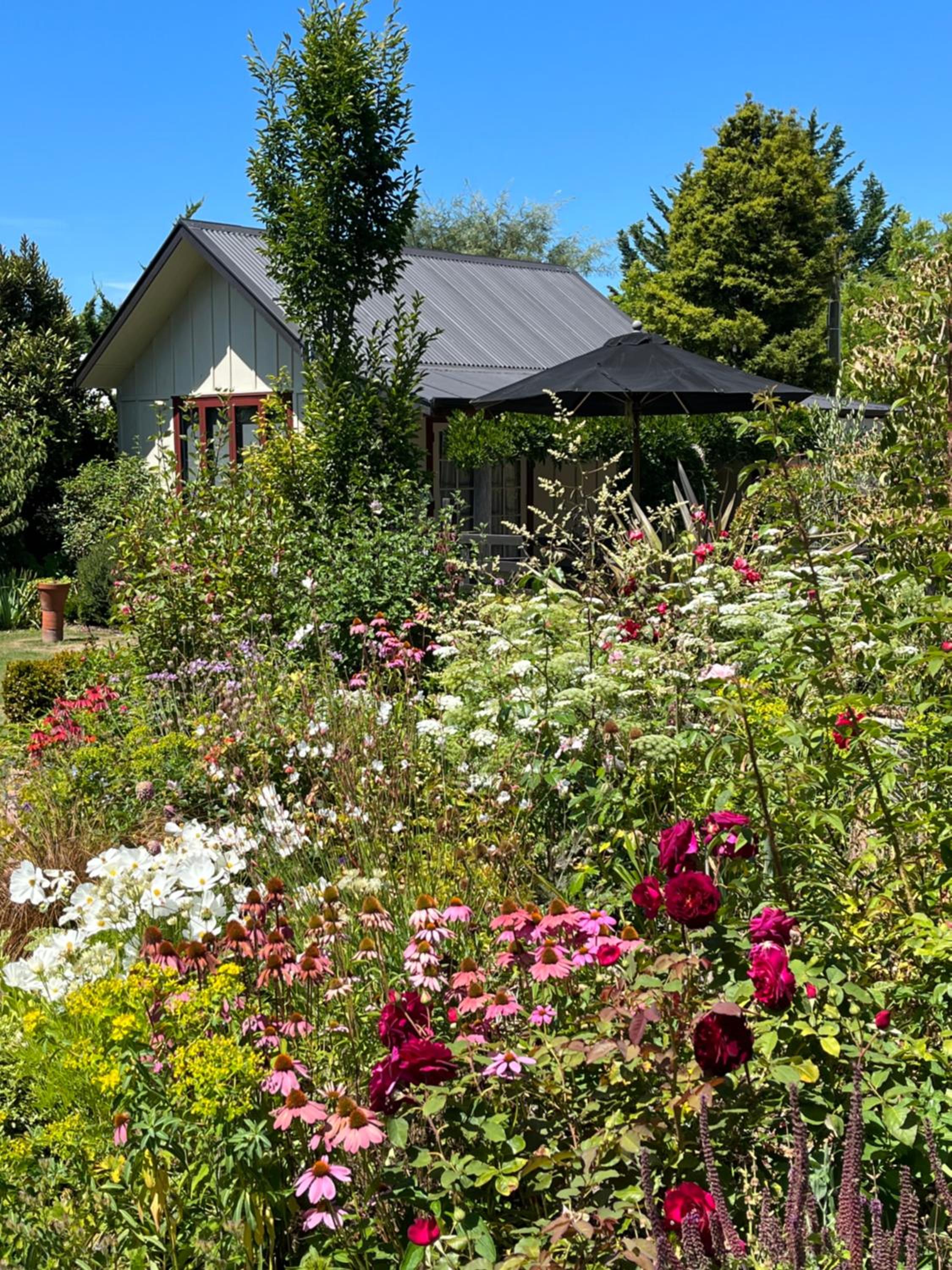 Tasman Village Cottage view 3