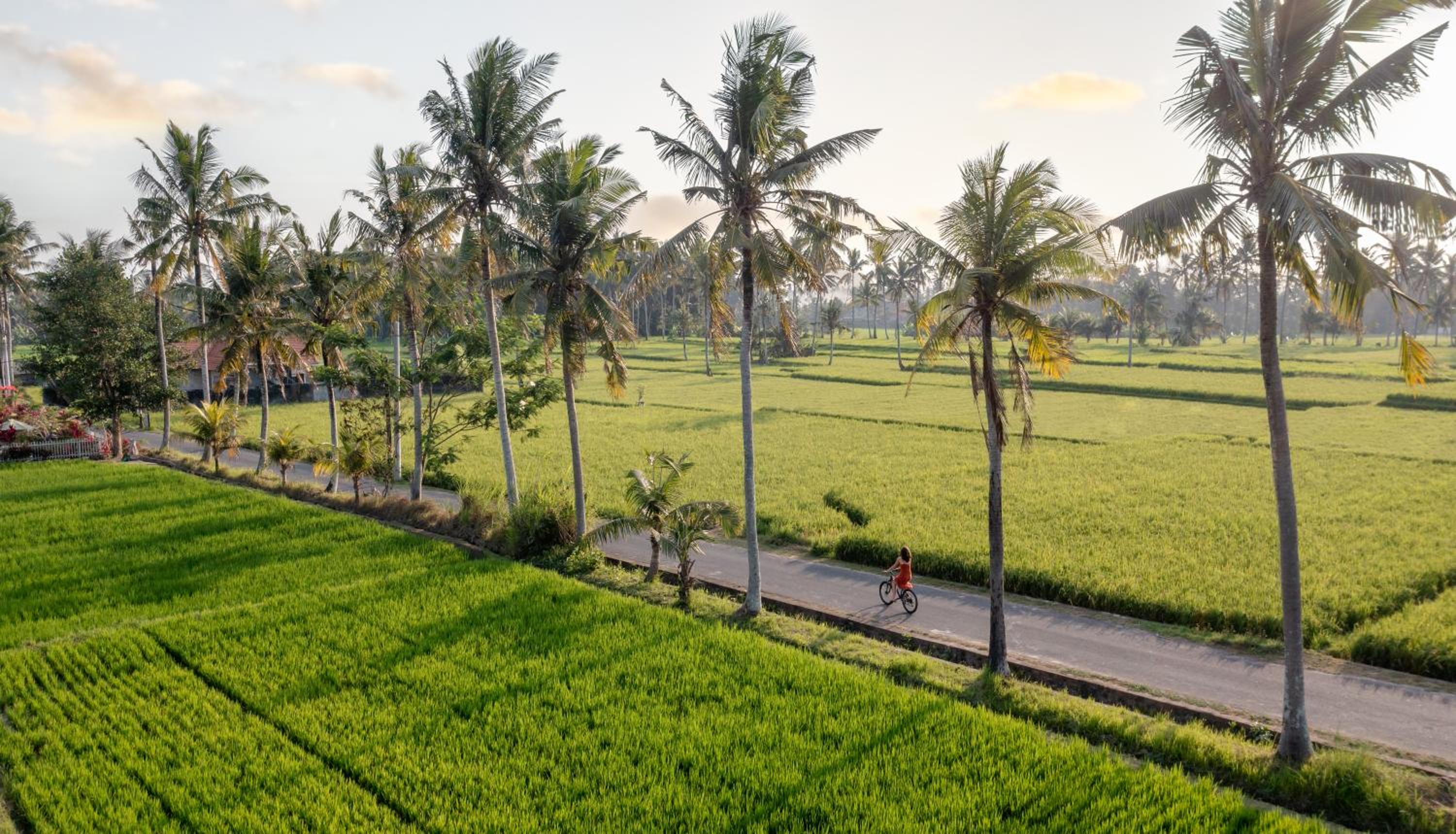 thewakanda Resort A Pramana Experience