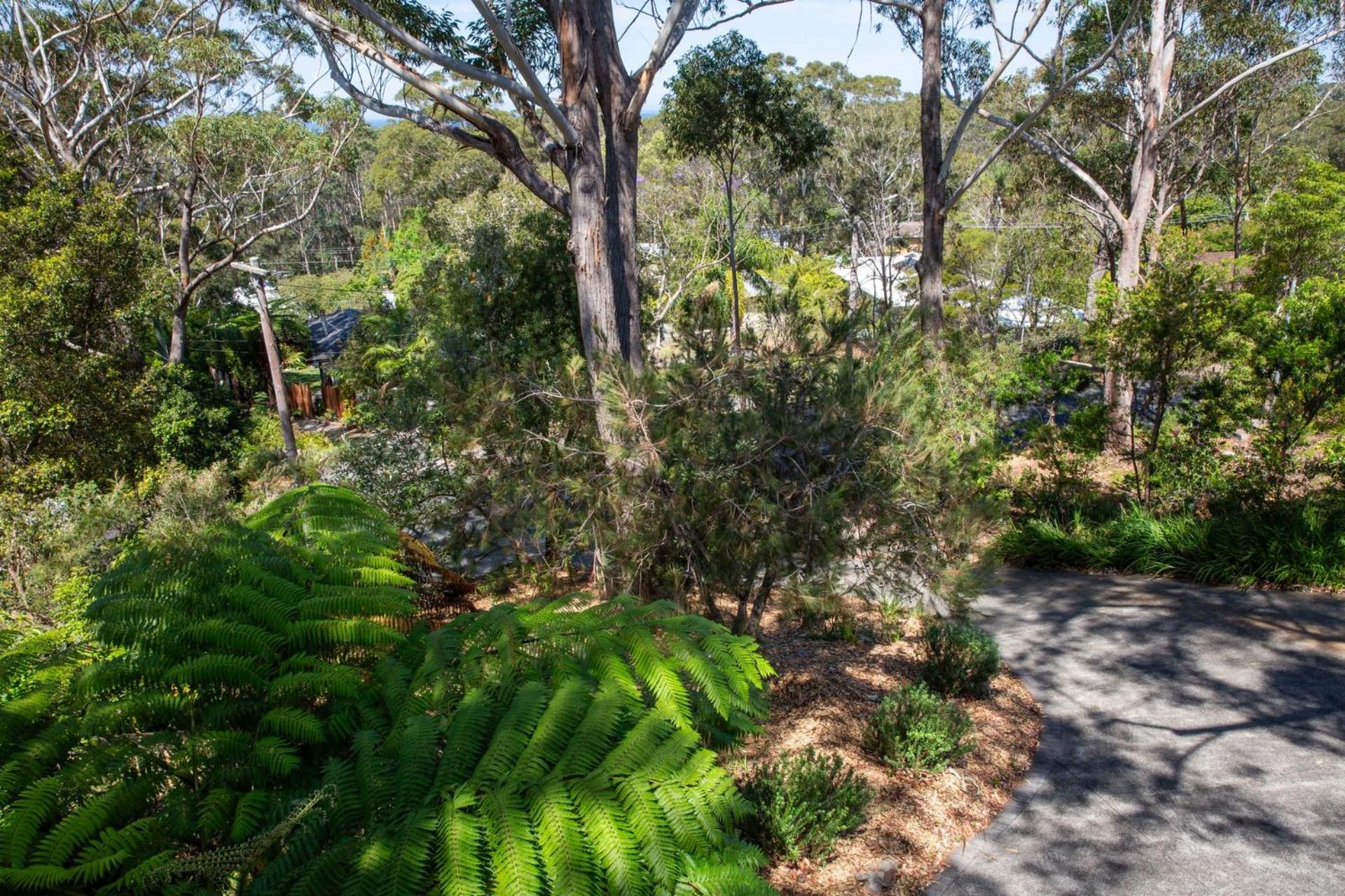 The Treehouse Vincentia