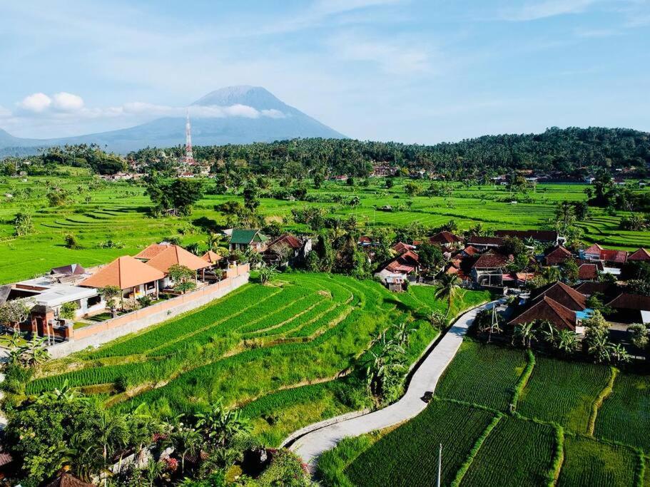 Villa Asri Karangasem view 5