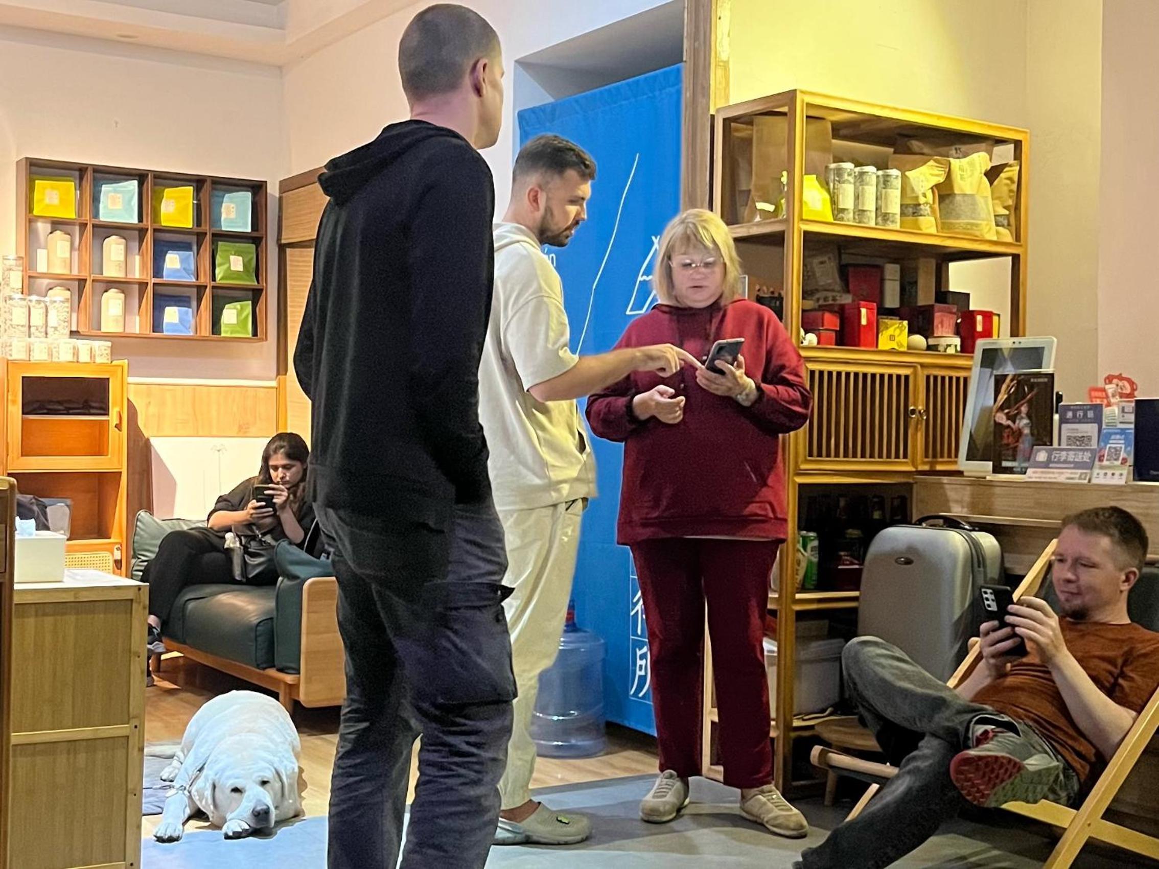 Wally House Hostel - walk 5 minutes to east gate of National Forest Park-ticket book services-free laundry facilities-free capsule coffee-Tour route introd