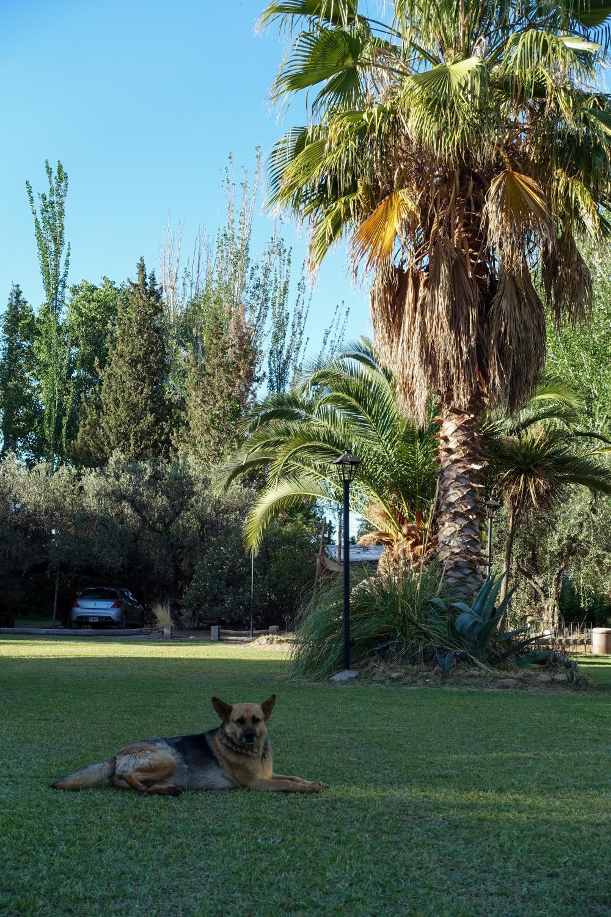 Finca Mula