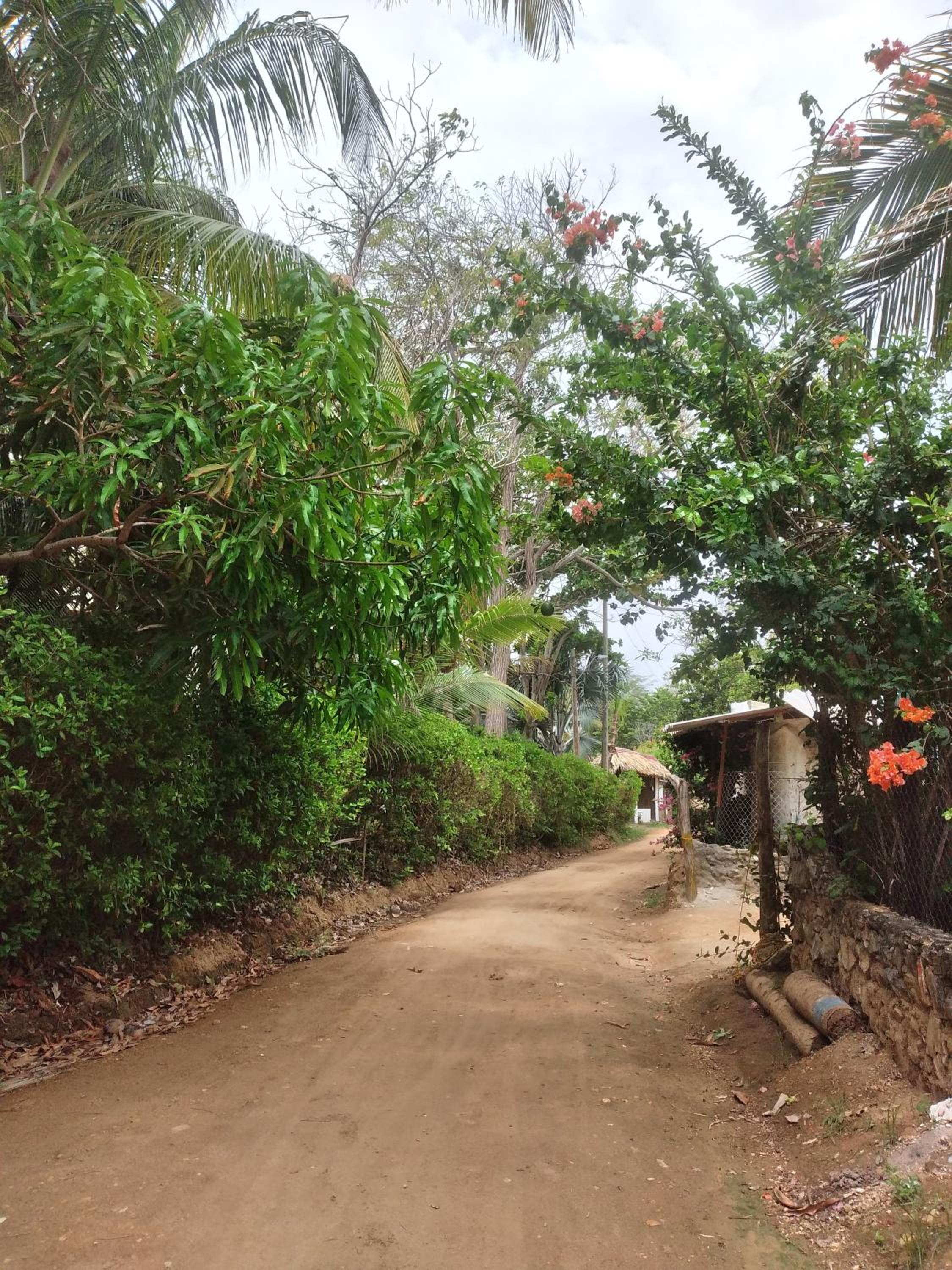CABAÑA ACUARIO