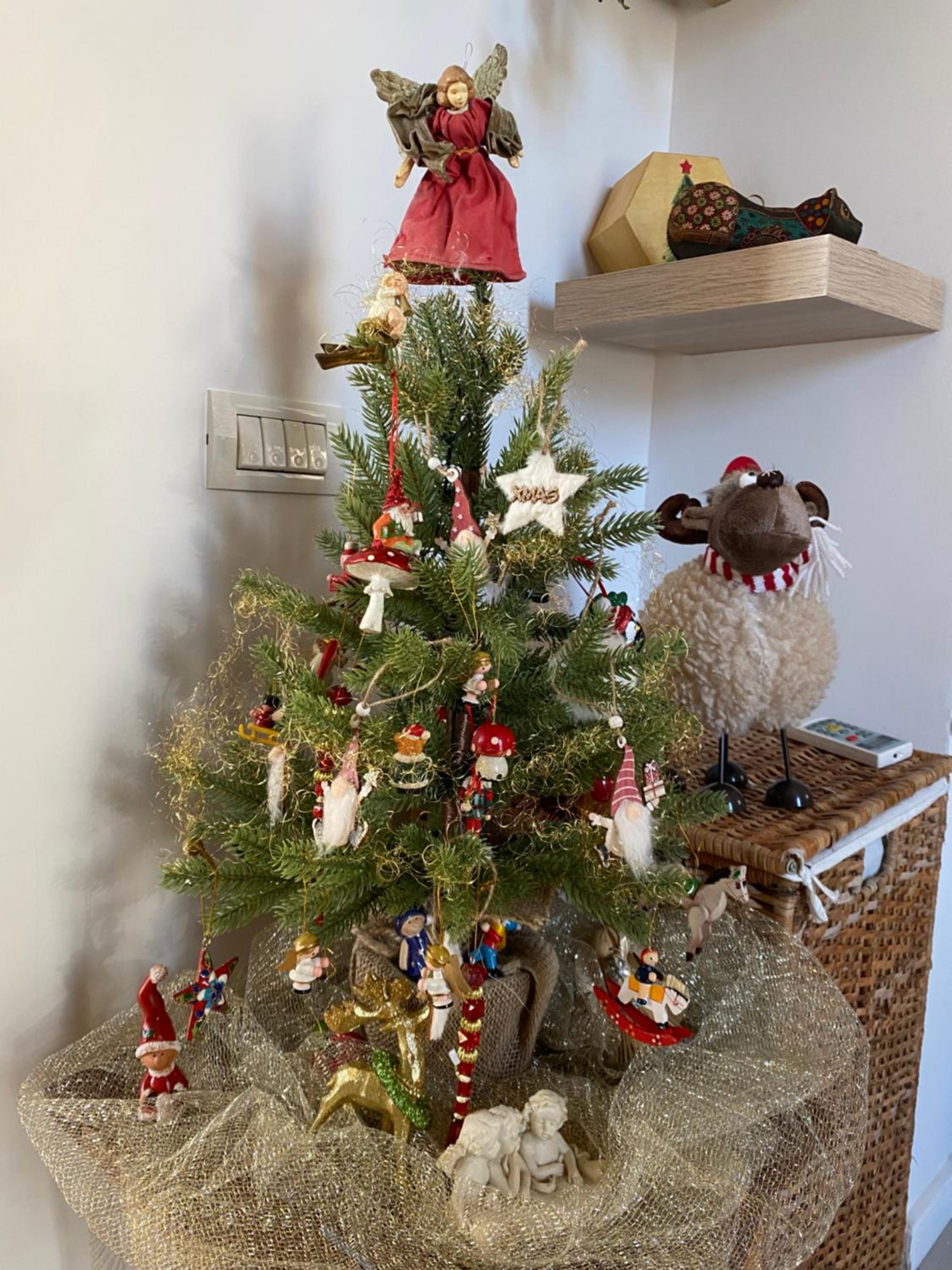 Photo 22