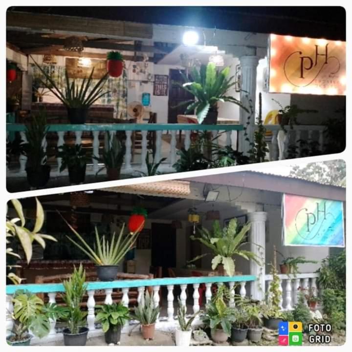 Paraiso Hostel Moalboal view 4