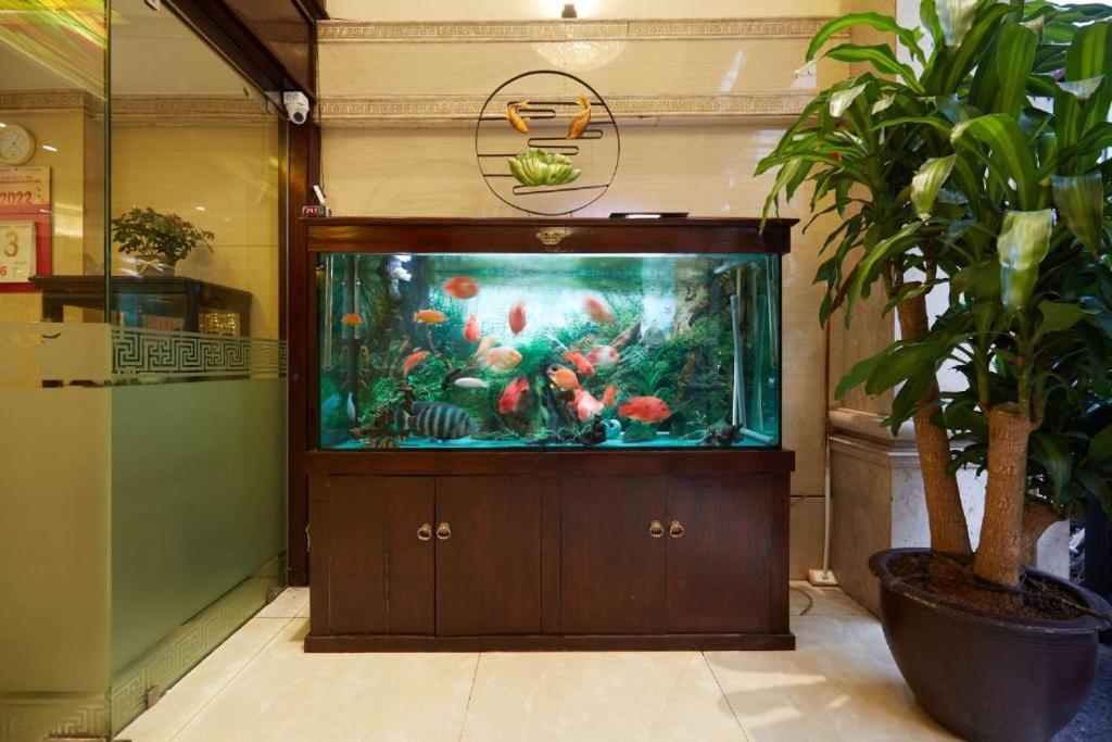 HaNoi Calido - 16 Phố Nguyễn Quang Bích HN - by BAY LUXURY