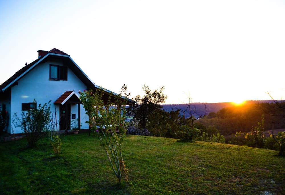 Papa Franks House view 2