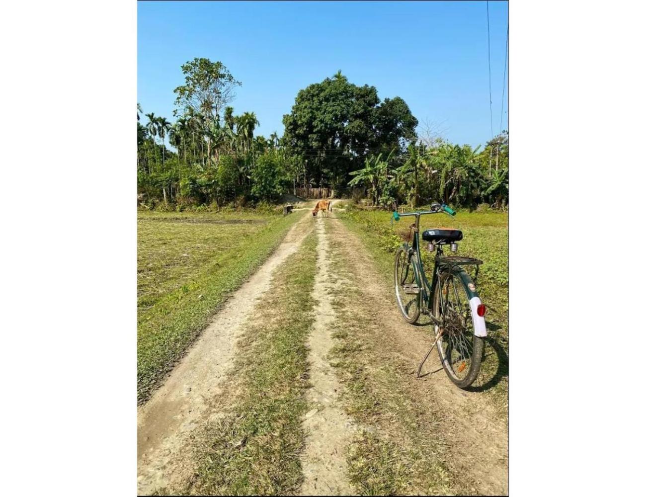 Adoroni Guest House, Assam