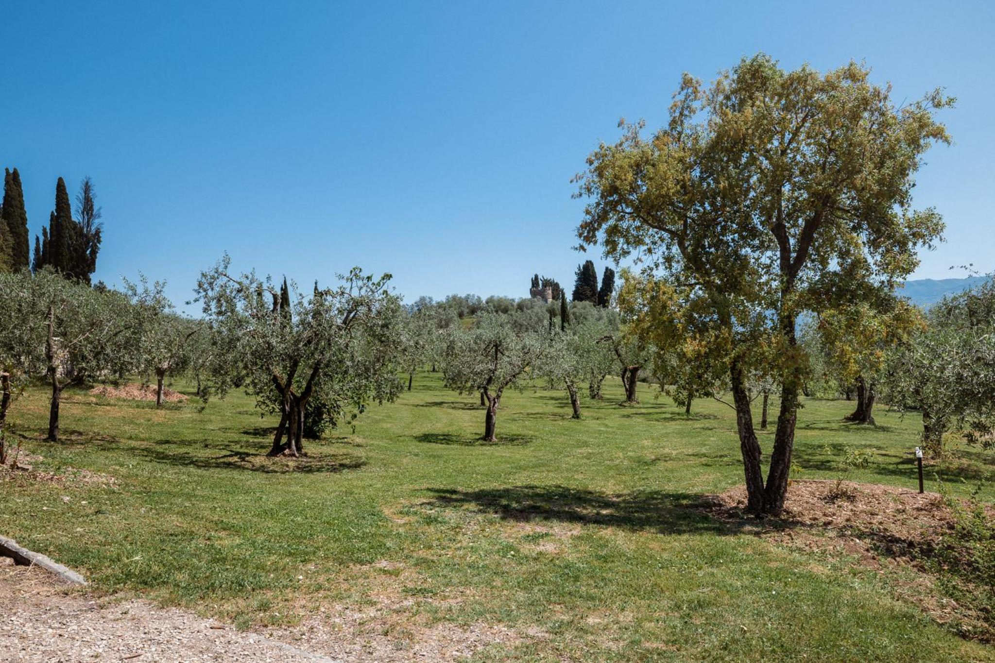 Casamaggio