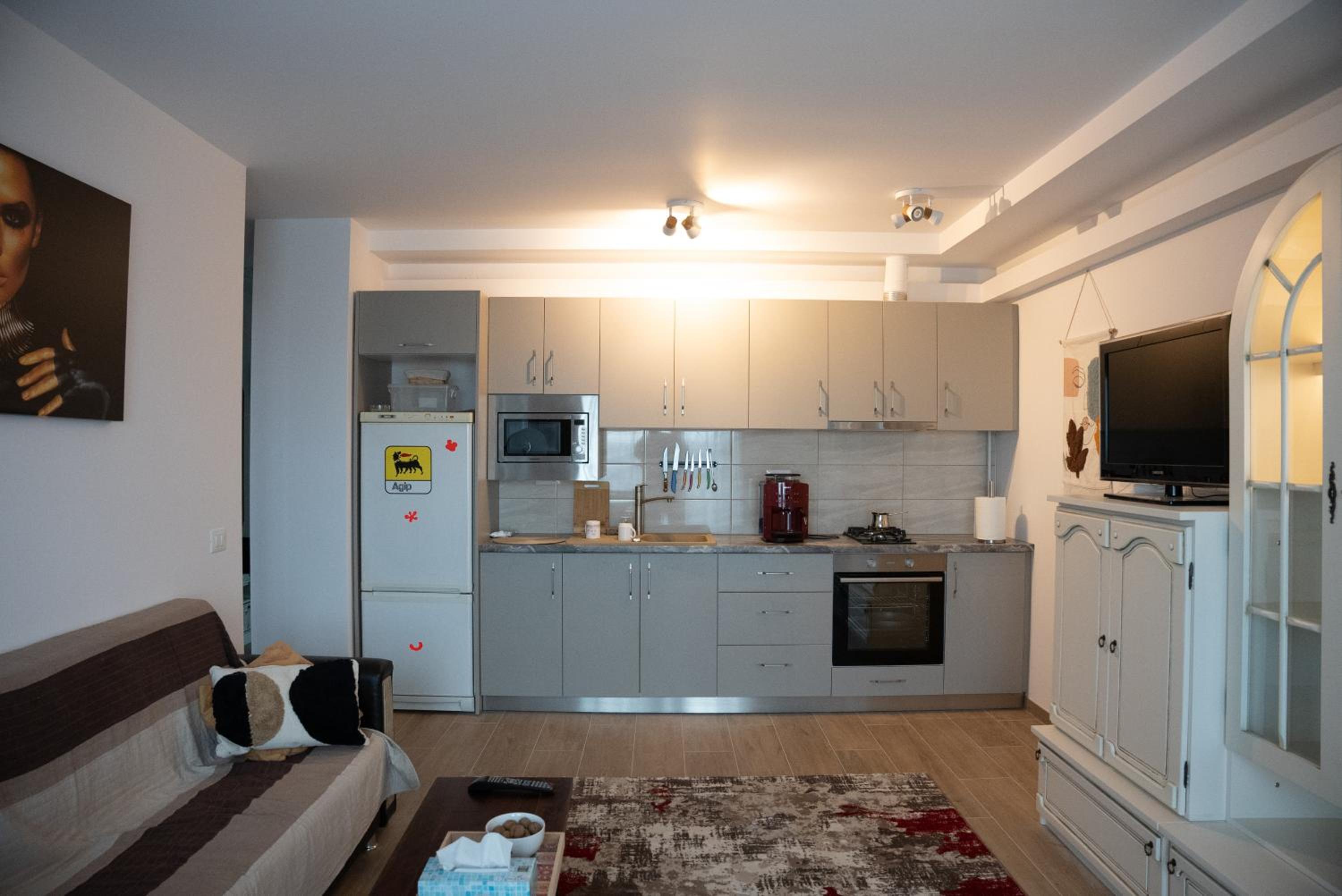 City Hall View Apartment Suceava view 4