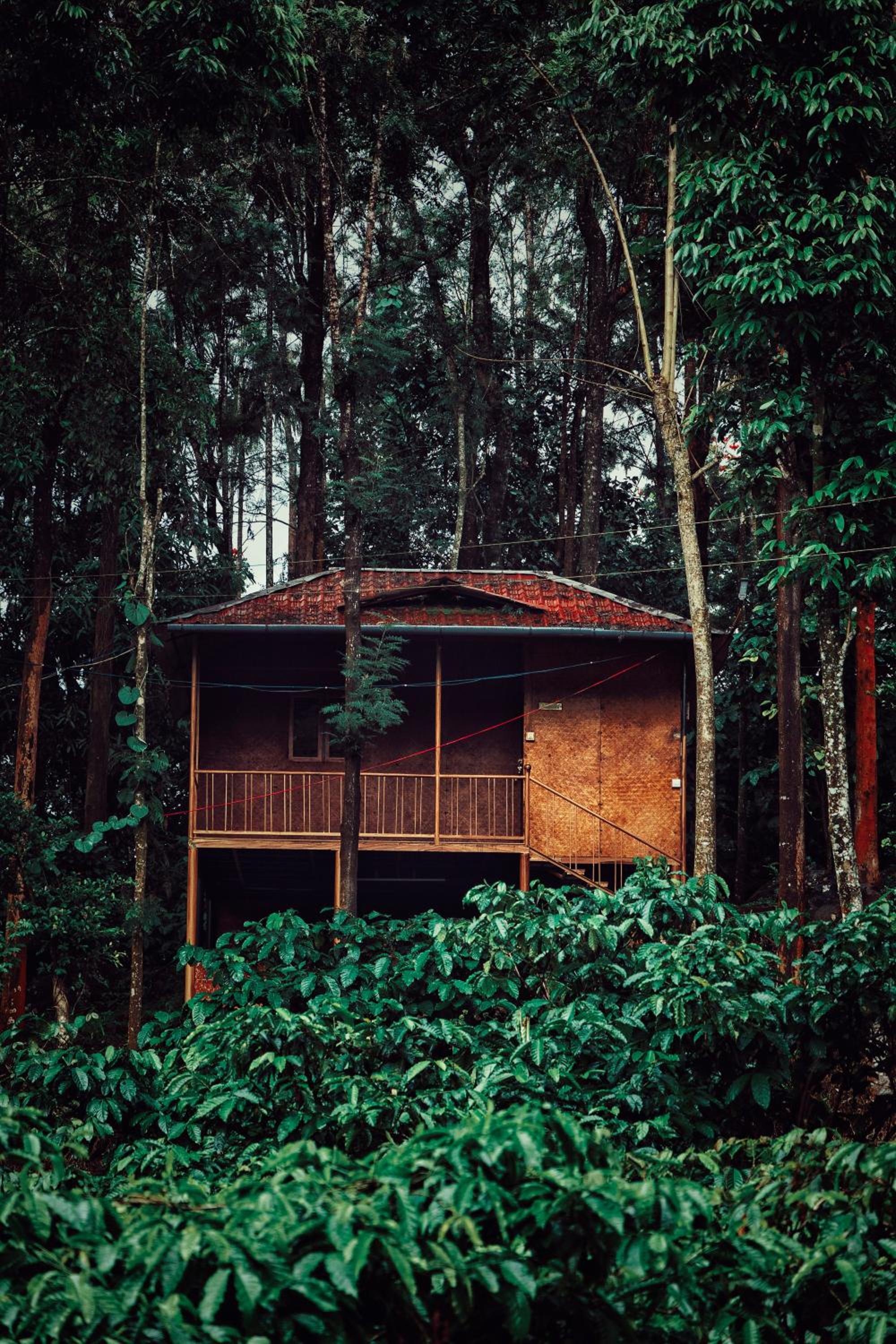 Mahout Resort Wayanad - An Experiential Jungle Stay with Waterfall view 3
