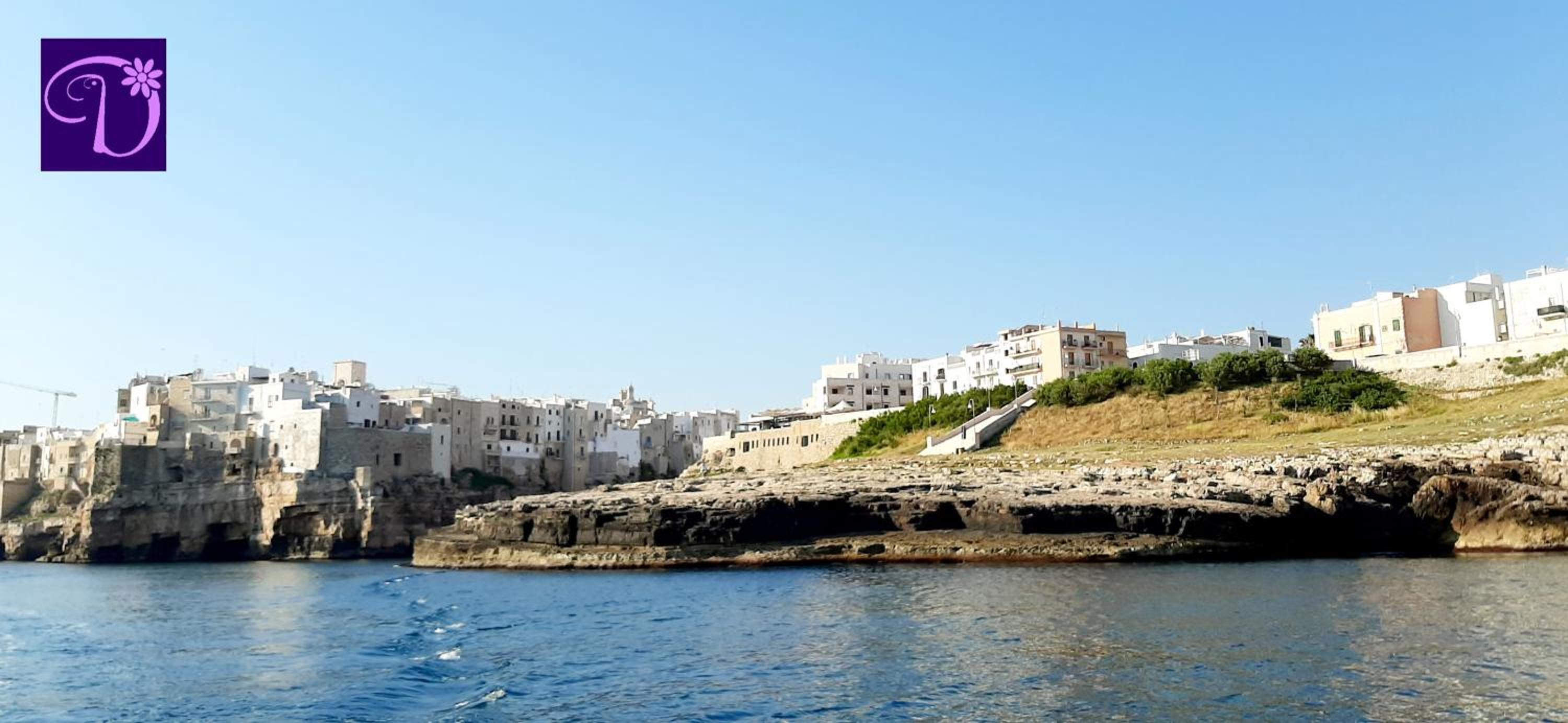 Photo 40