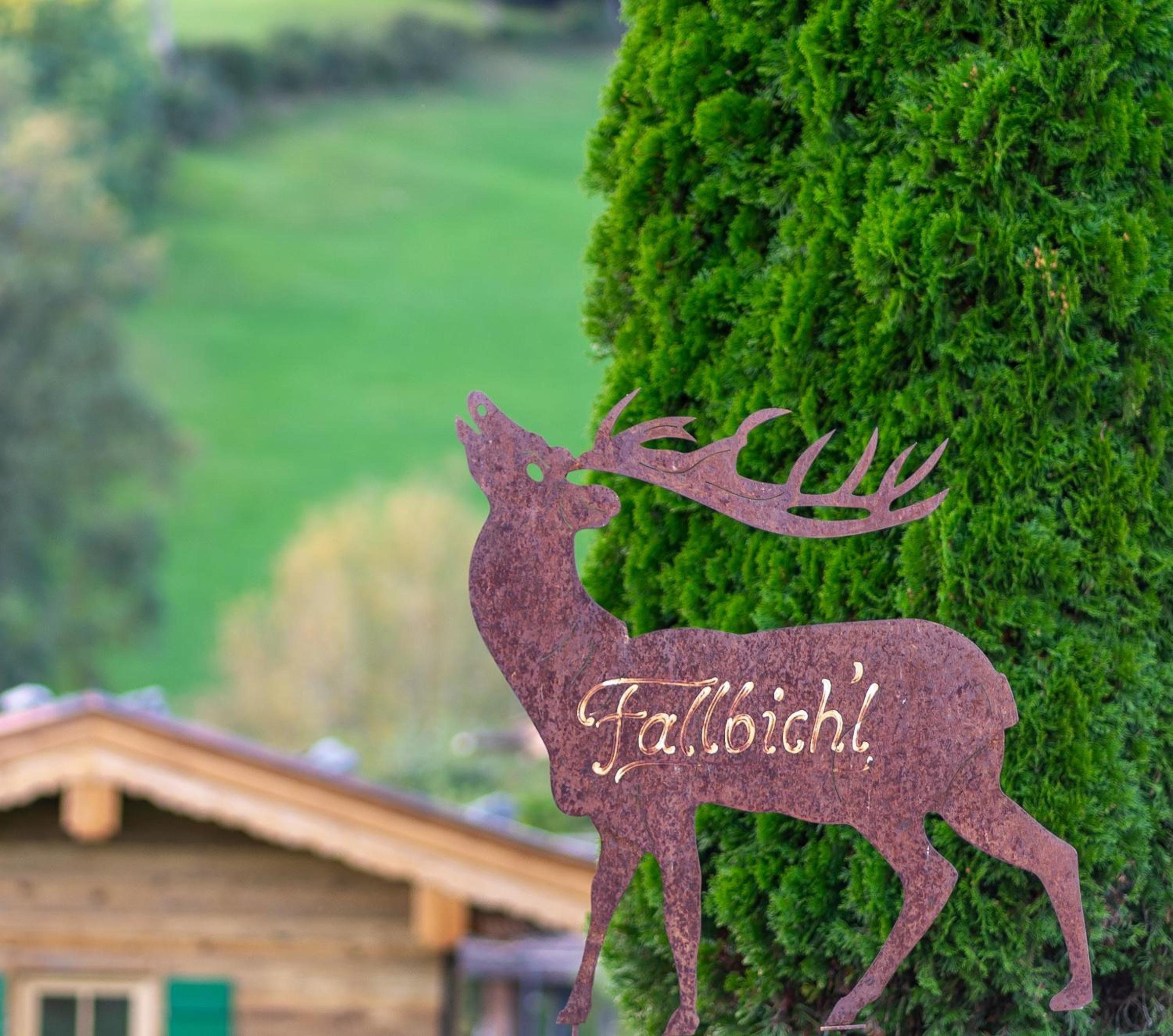 ALPIN CHARME APARTMENTS Boutique Chalet Kitzbichl