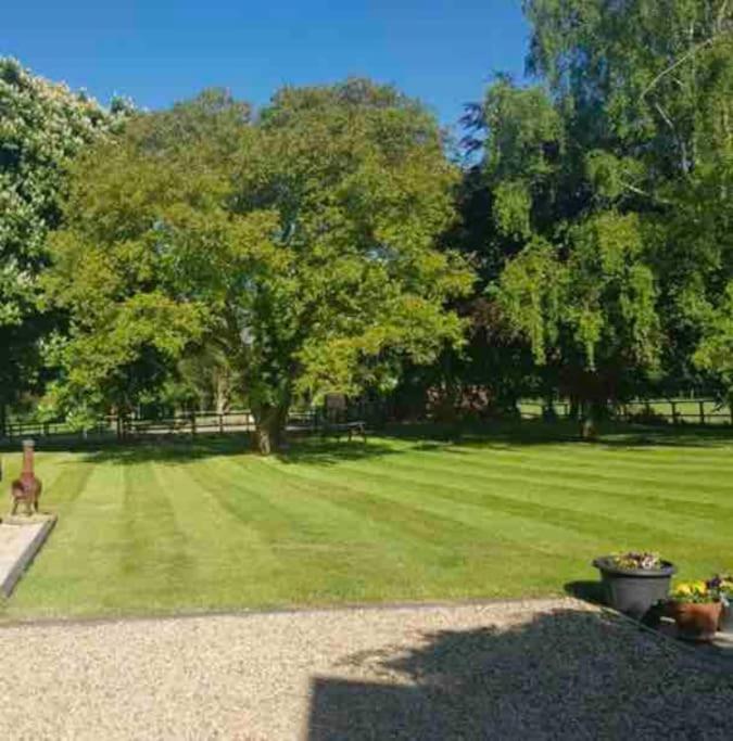 The Paddocks