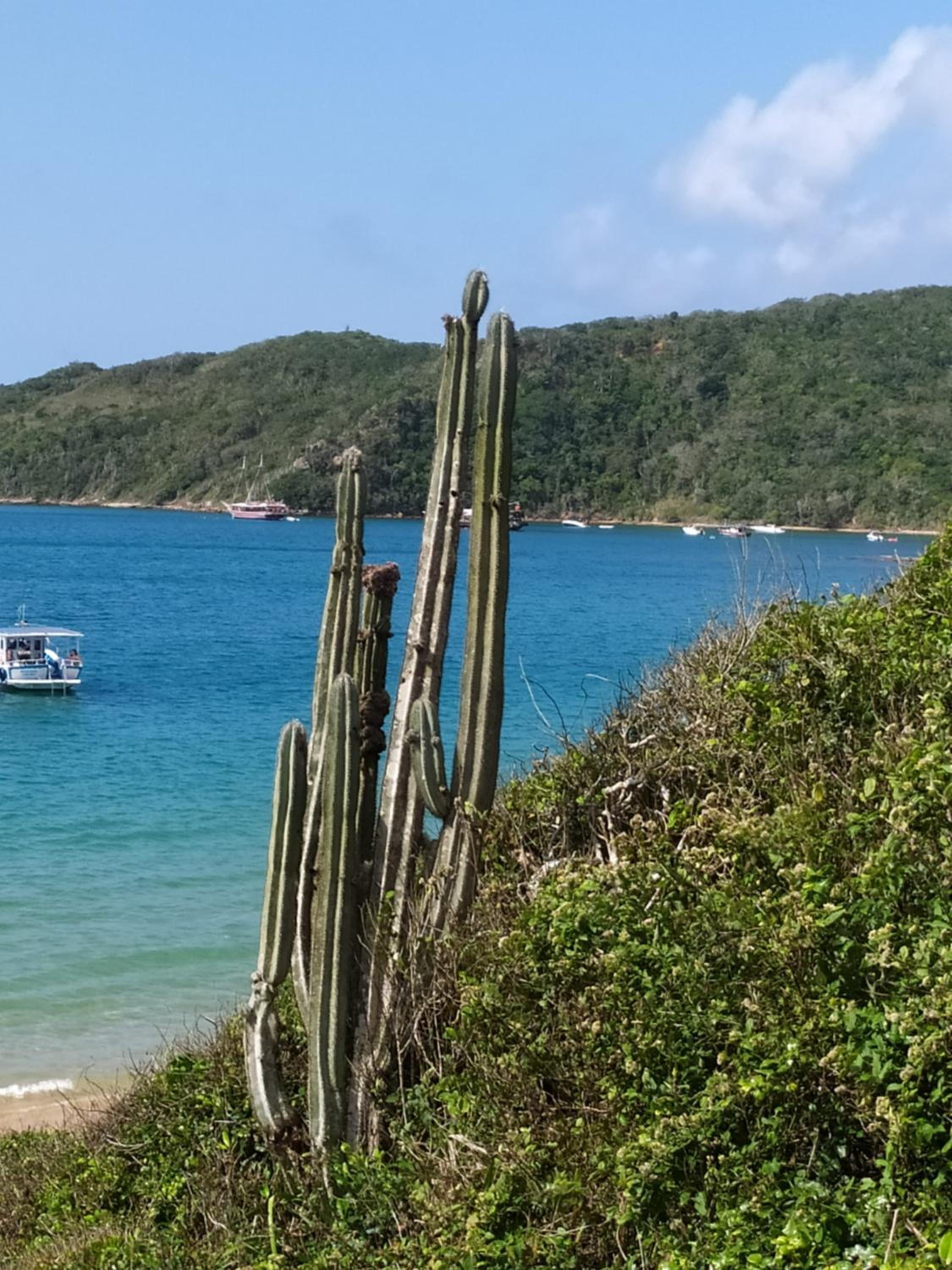 Meu Paraíso em Búzios - 70 metros da Praia