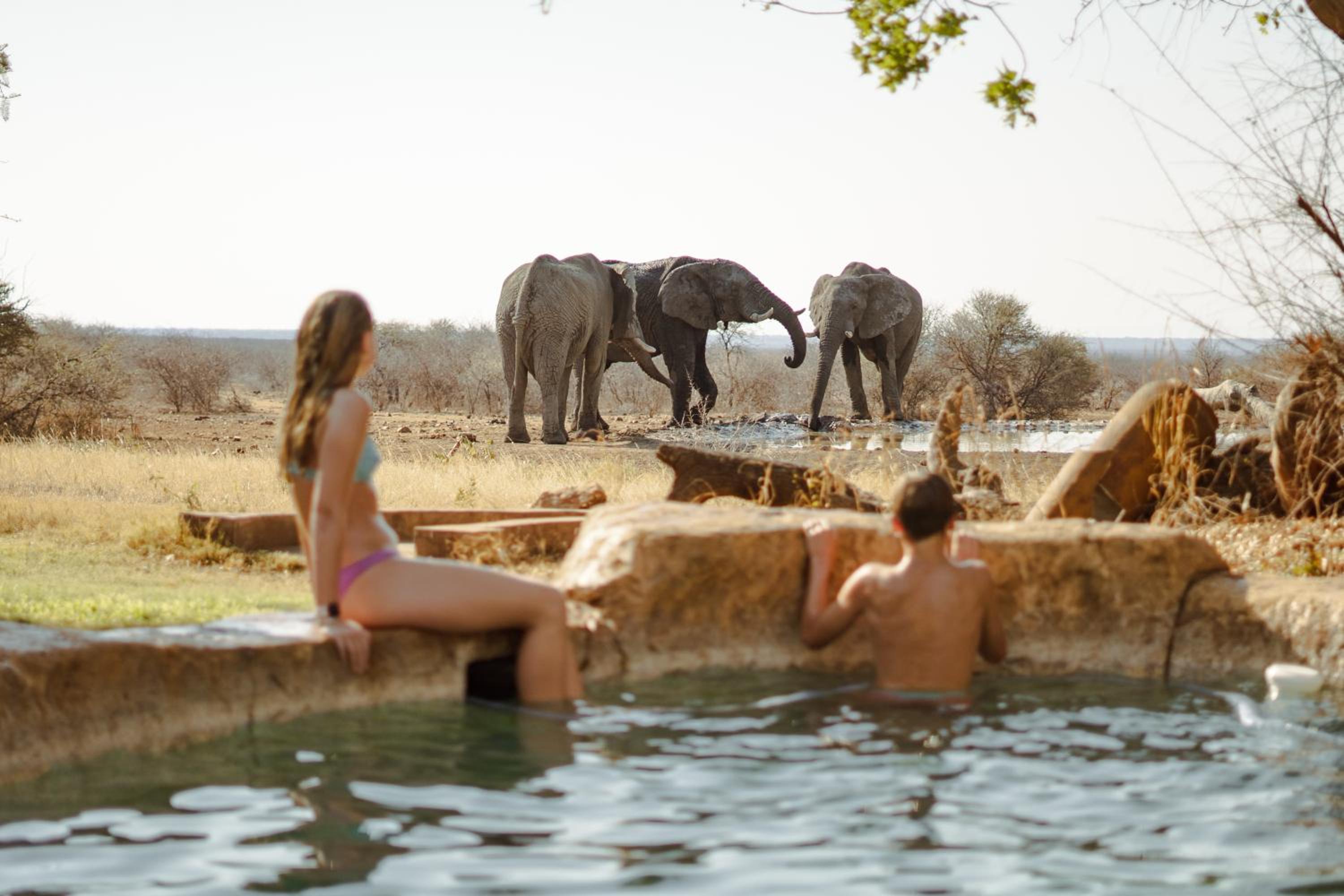 Last Word Madikwe