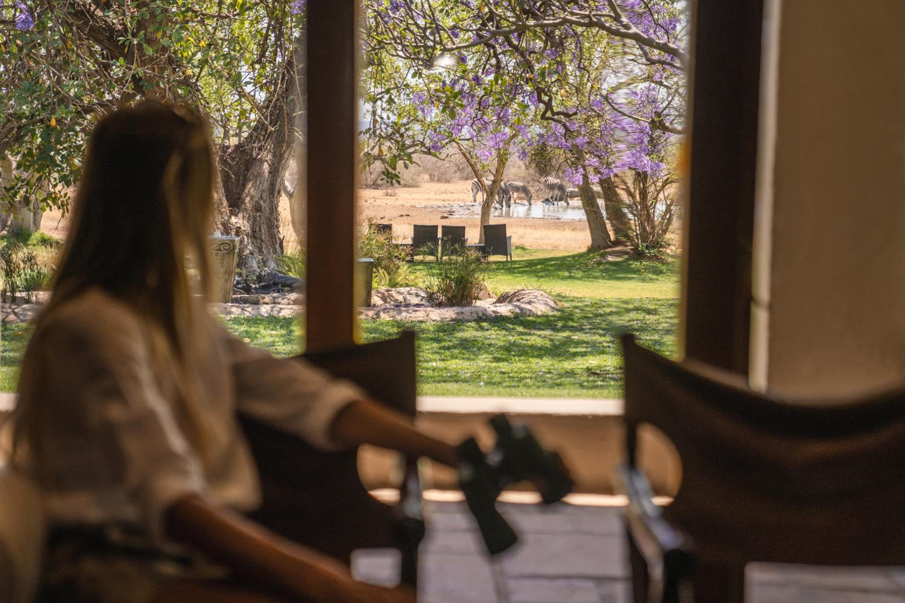 Last Word Madikwe