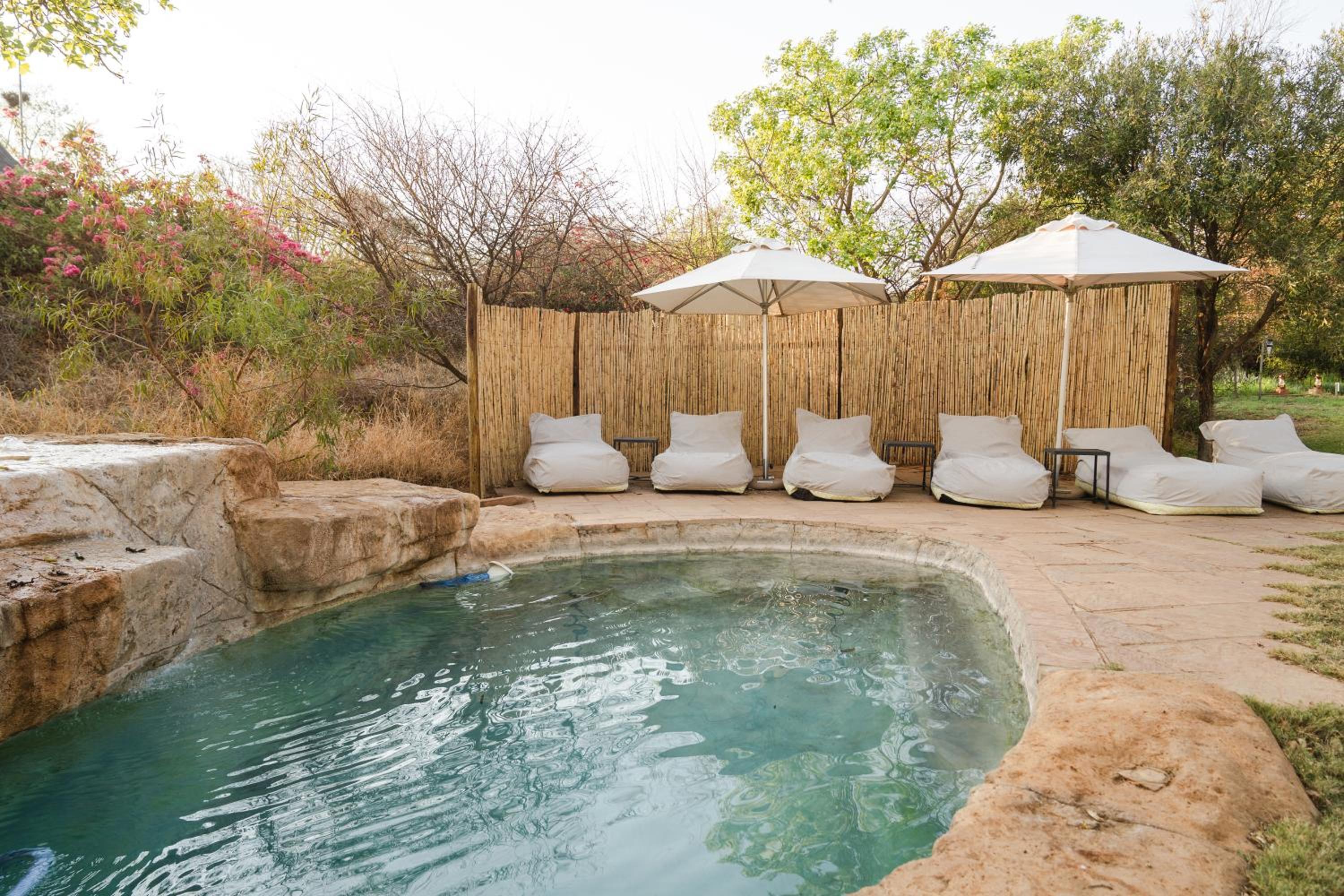 Last Word Madikwe