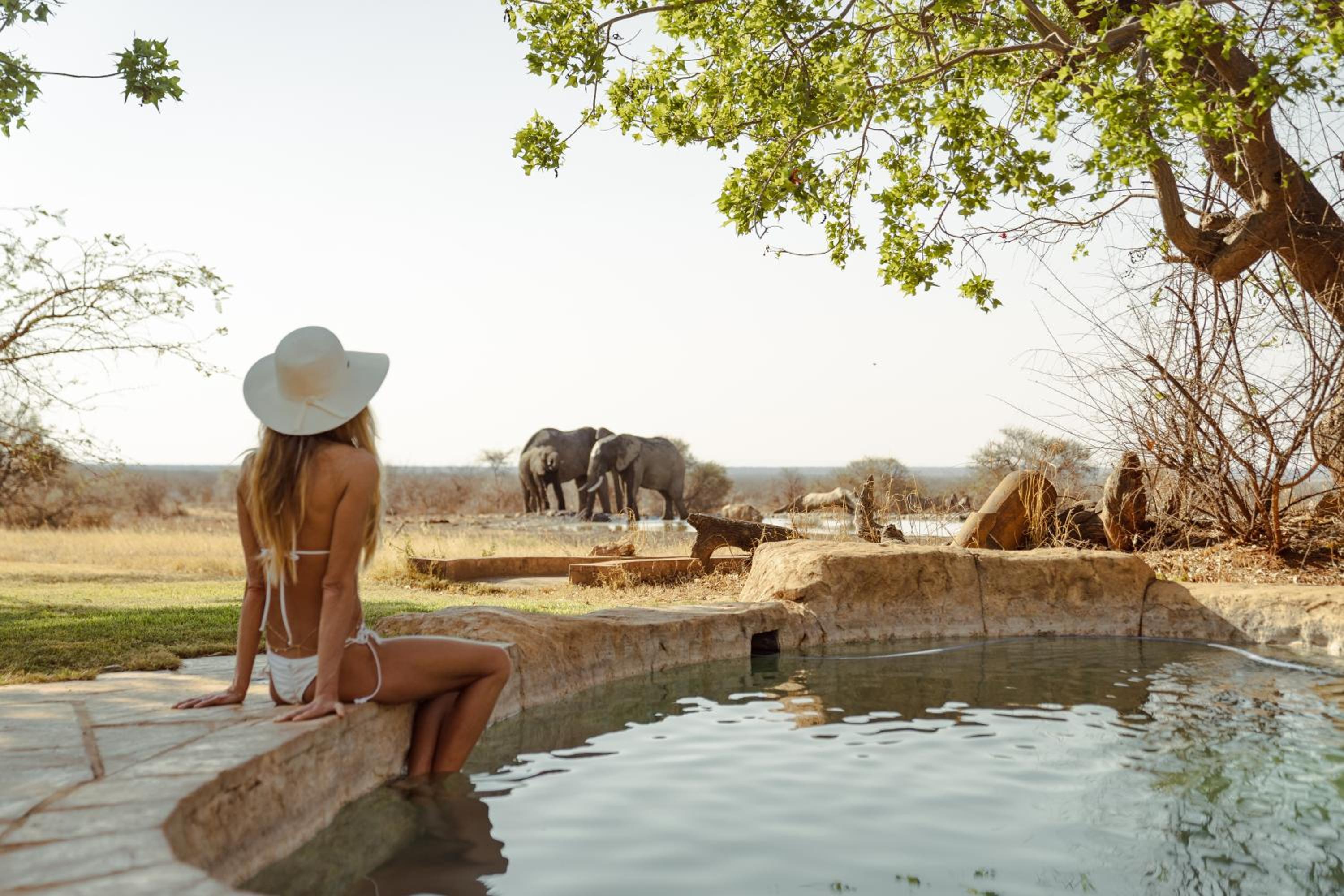 Last Word Madikwe