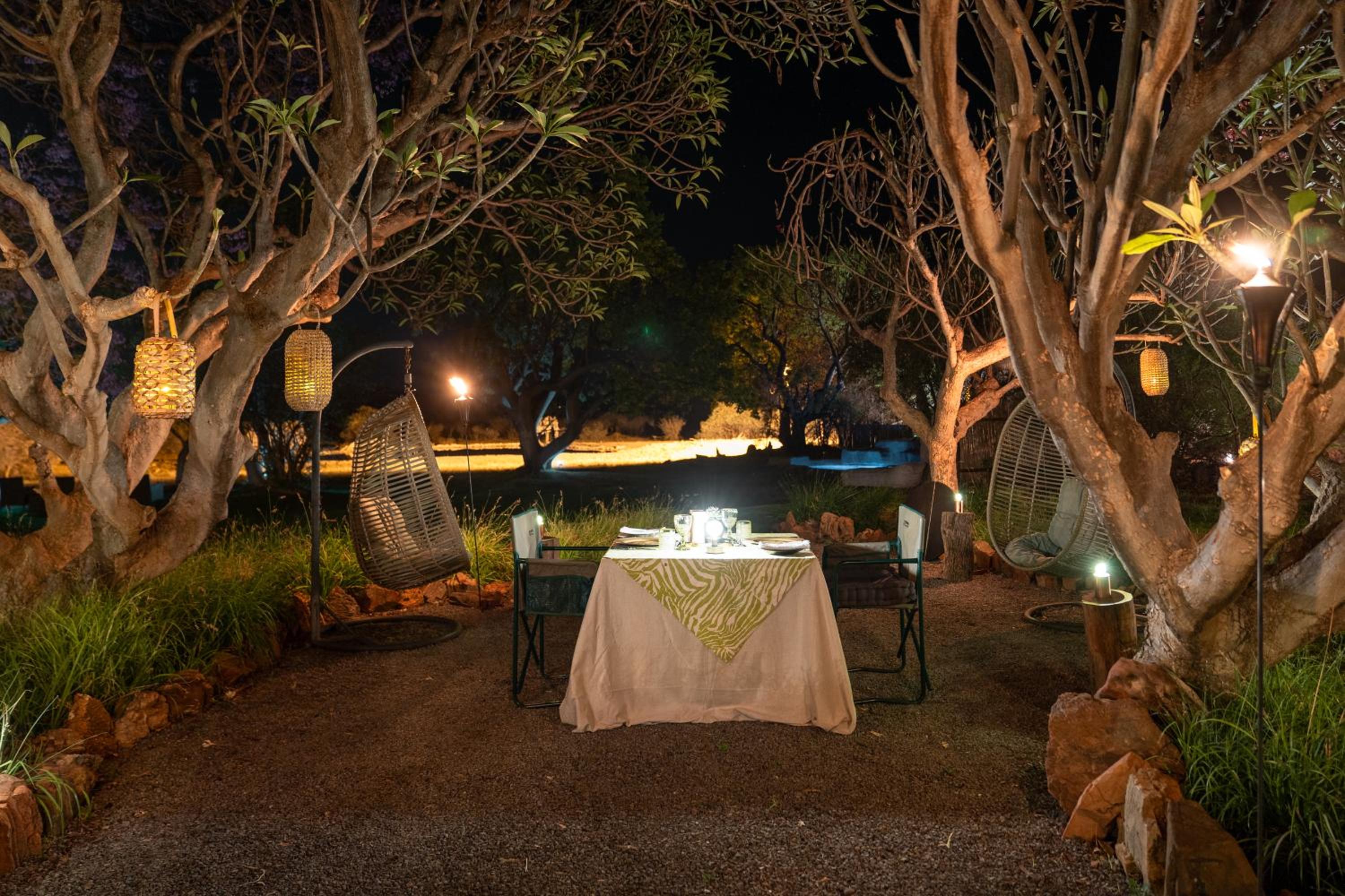 Last Word Madikwe