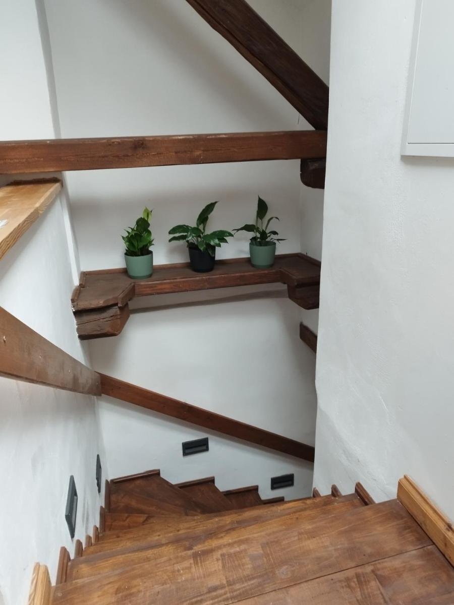 Apartmán Horní Heřmanův Městec u Chrudimi
