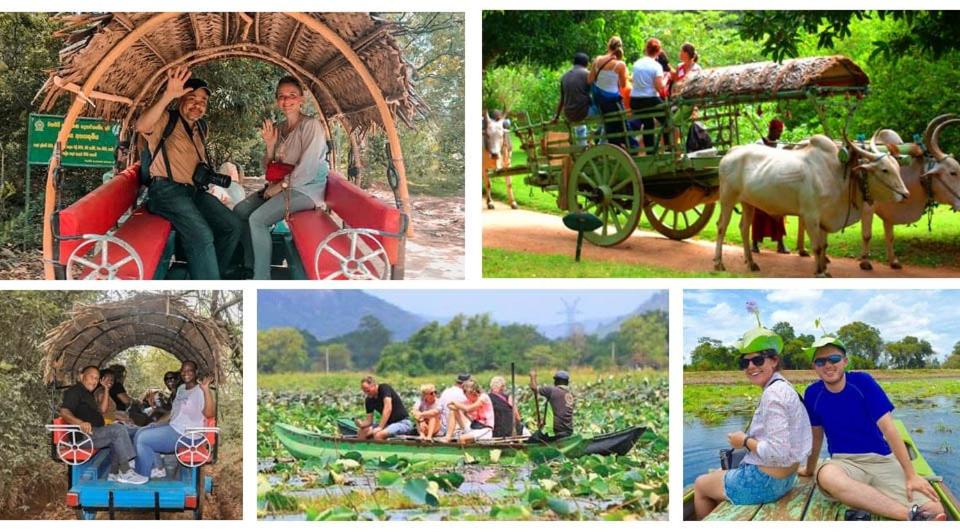 Manju Homestay