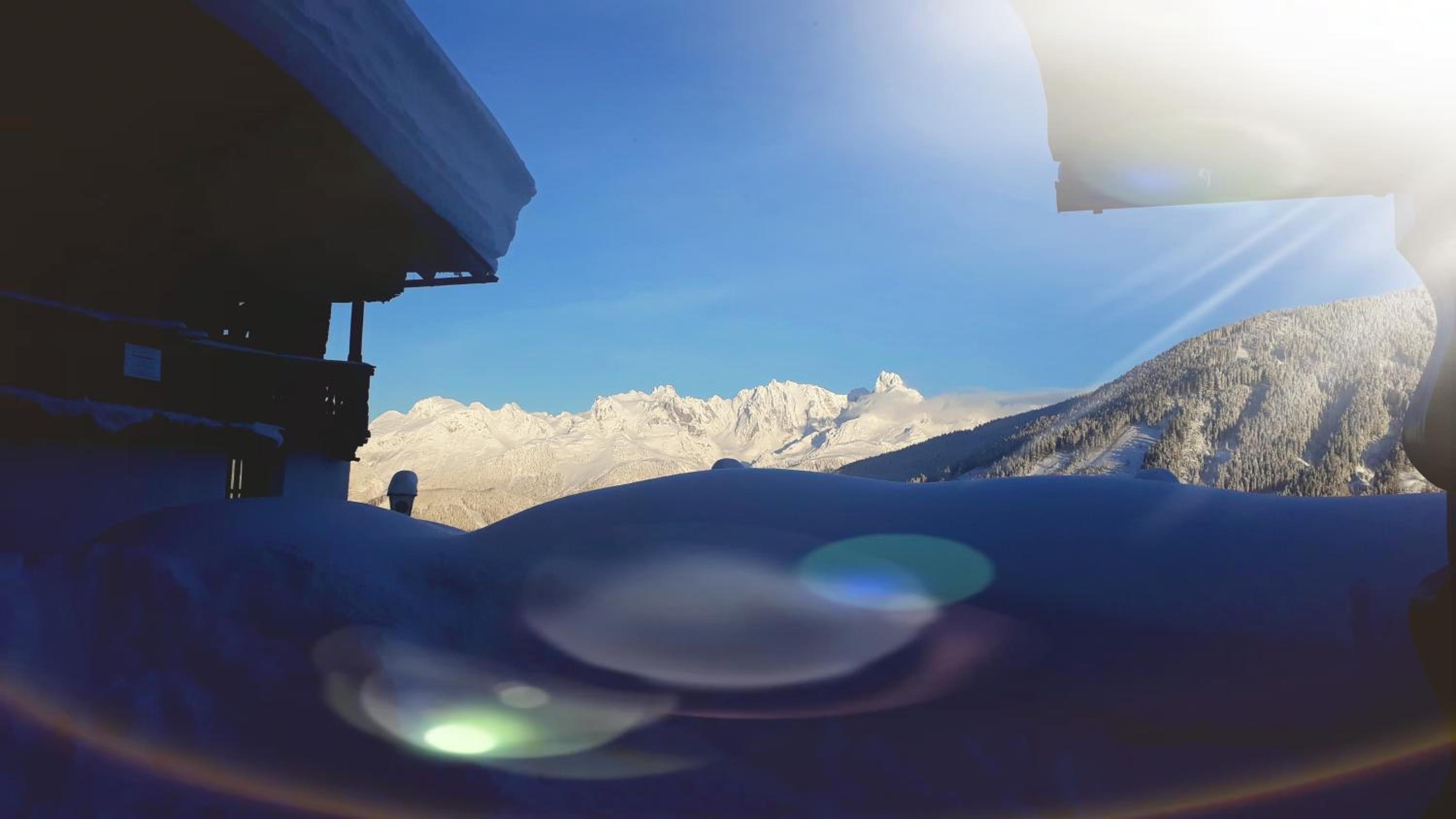 Buttermilchalm