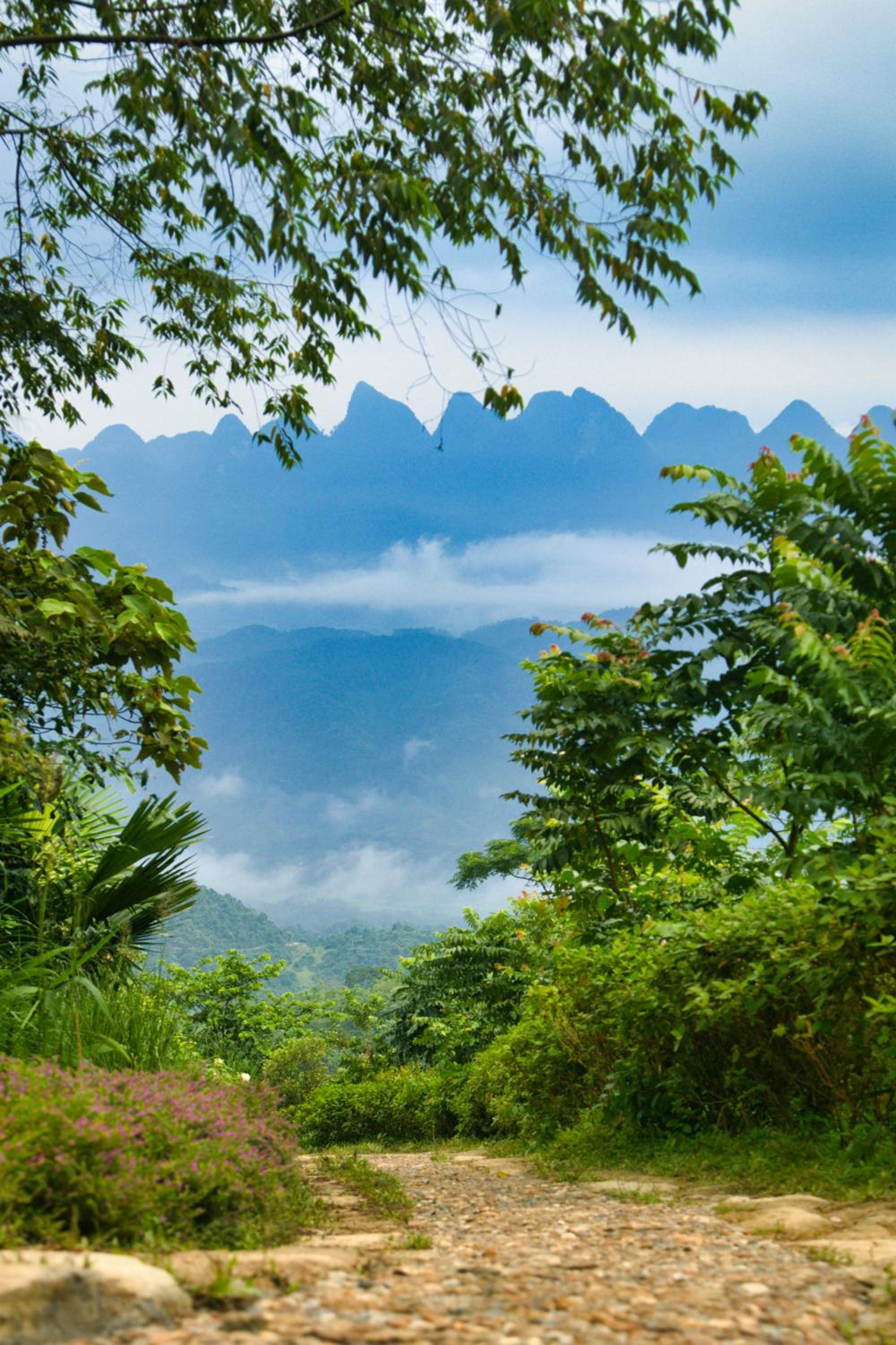 TV Palm Ecolodge Ha Giang