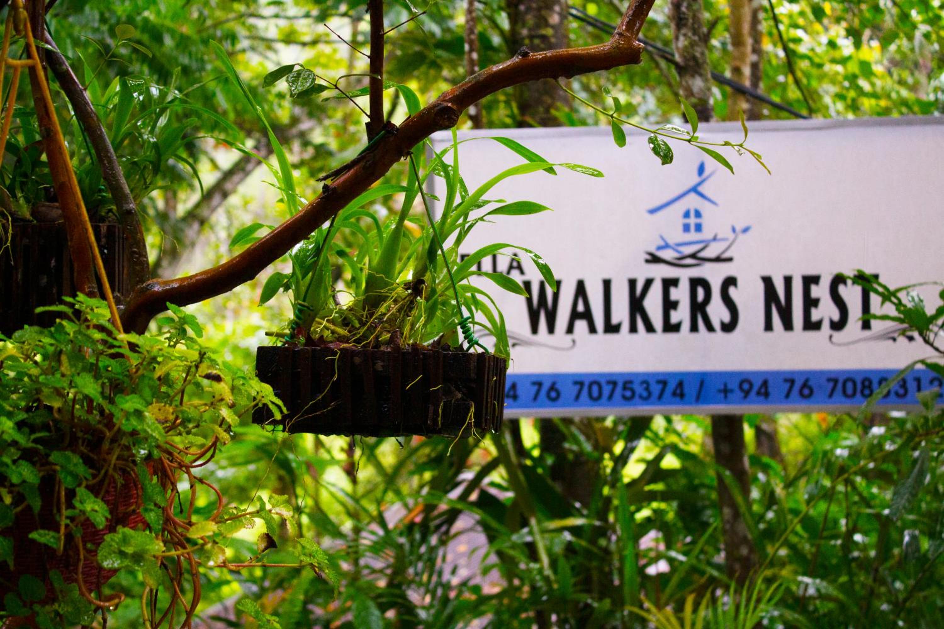 Ella Walkers Nest view 3