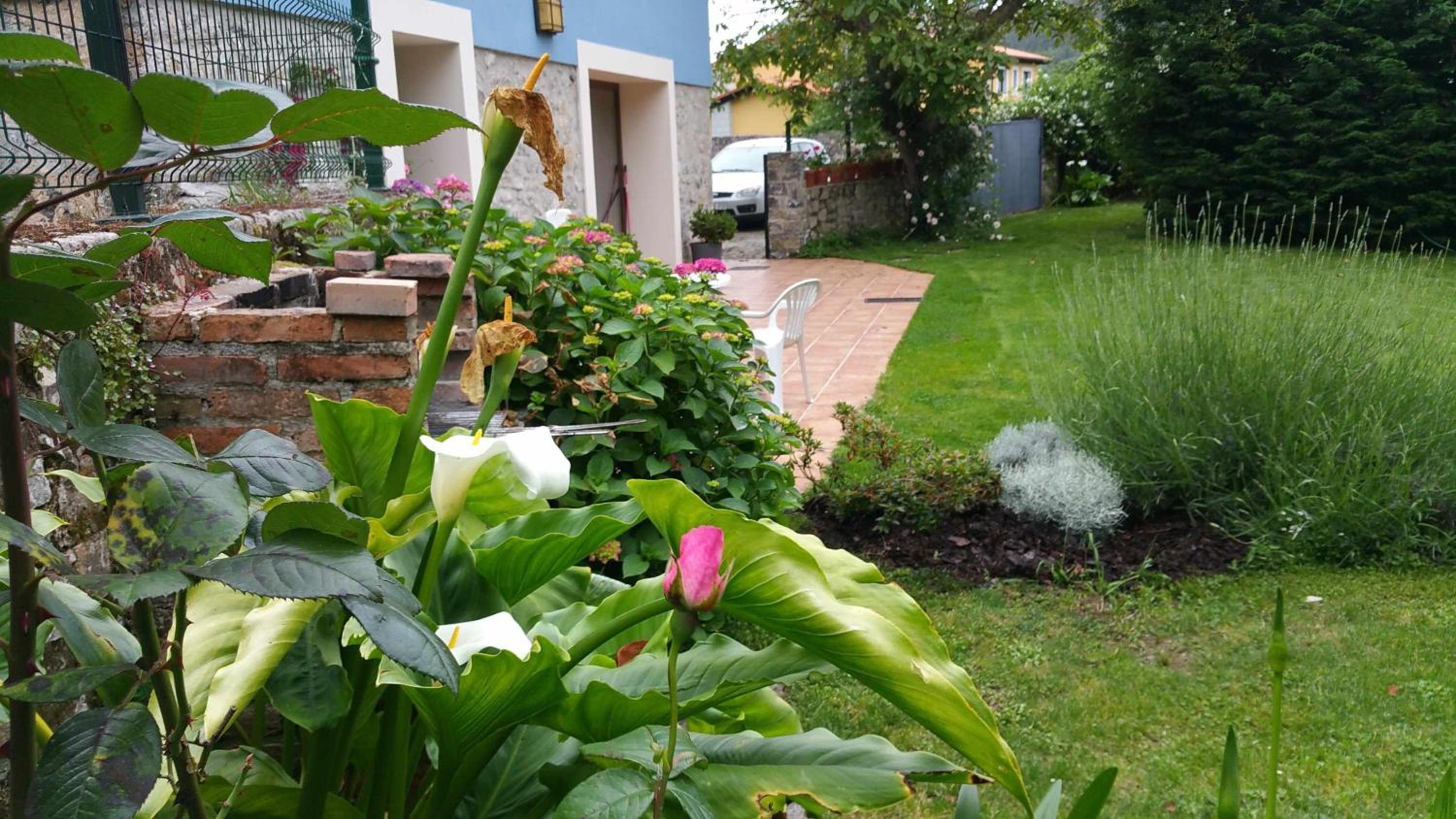 Casa Rural Llanes - El Toral