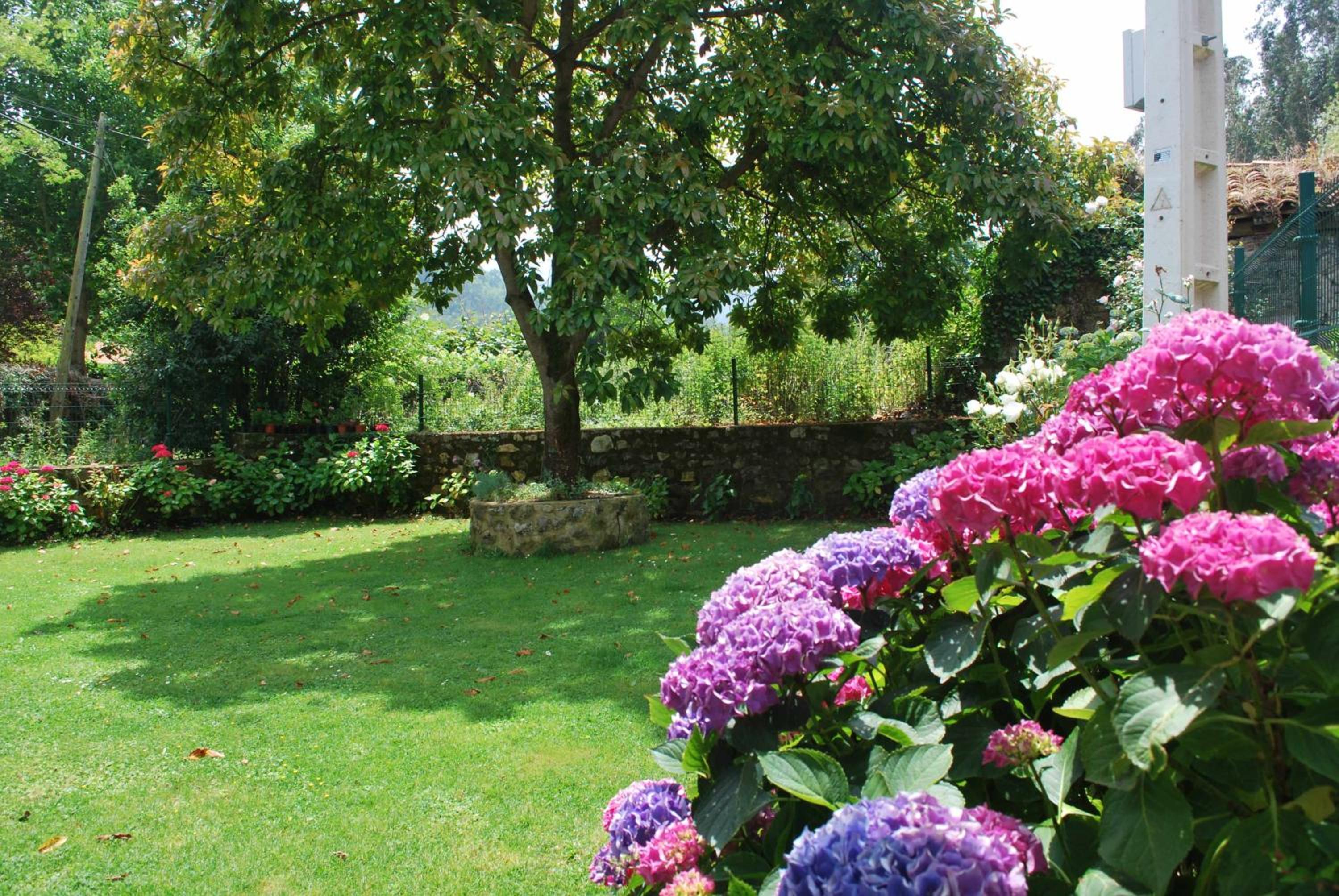 Casa Rural Llanes - El Toral