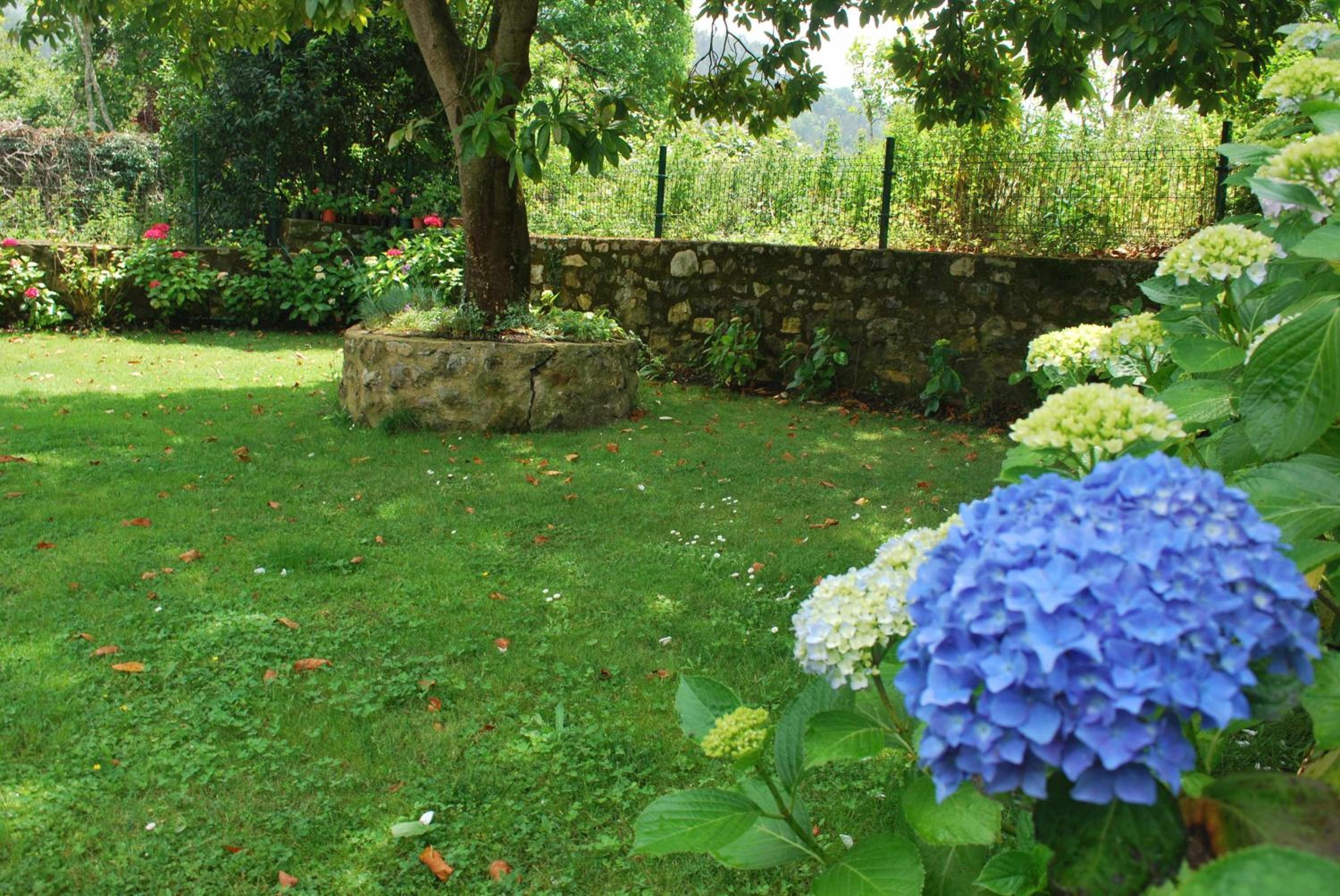 Casa Rural Llanes - El Toral
