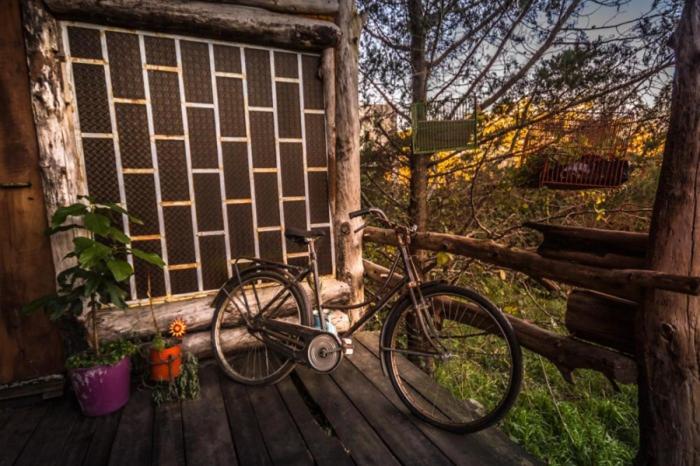 Malo Watson Hostel