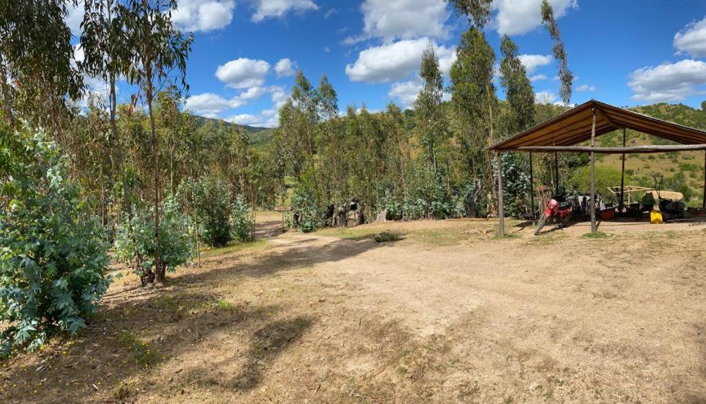 Estancia Don Domingo