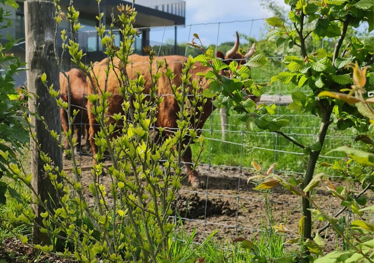 Ferienhausträume Oase Bodensee