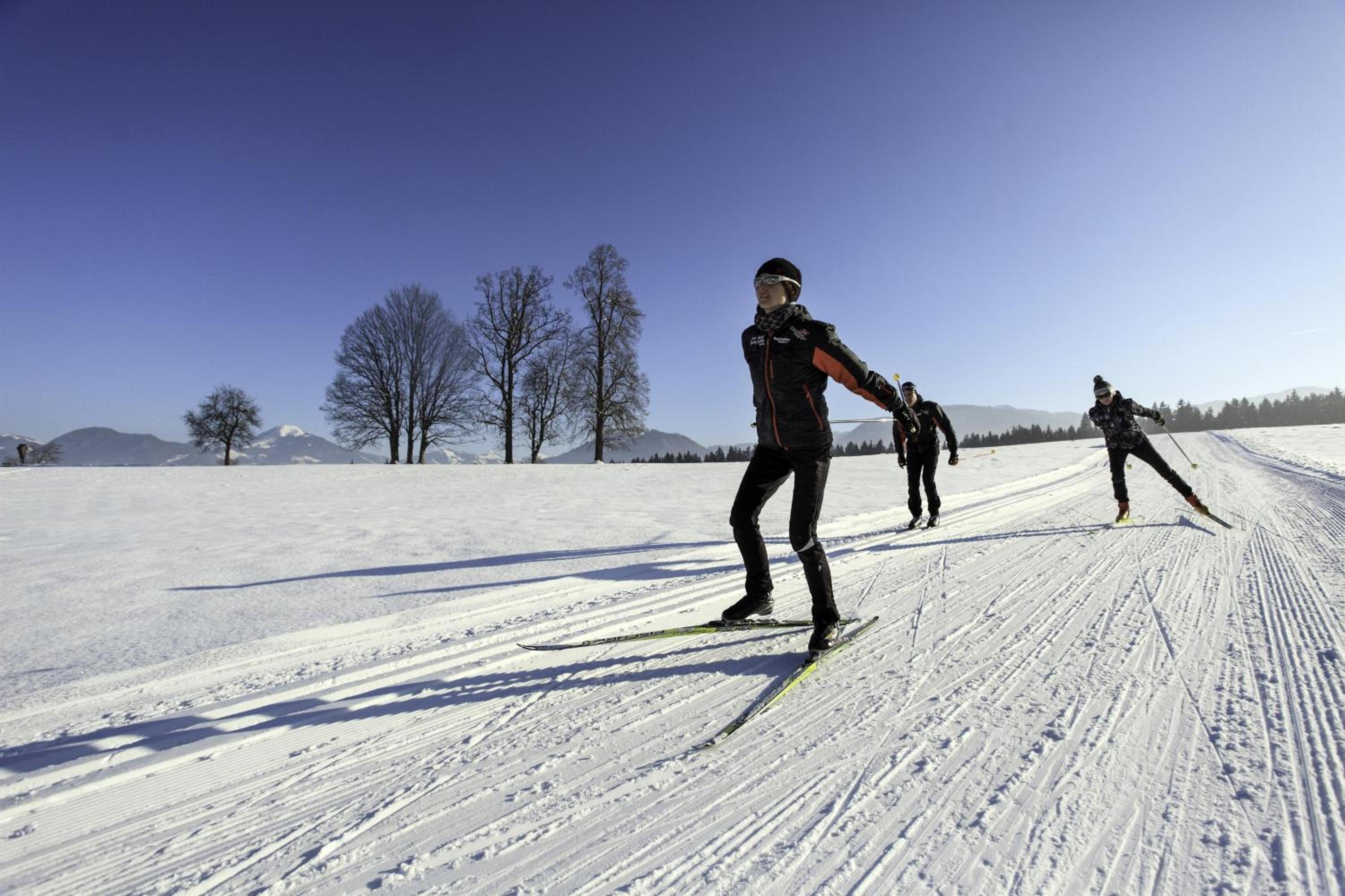 Fleckalm Chalets