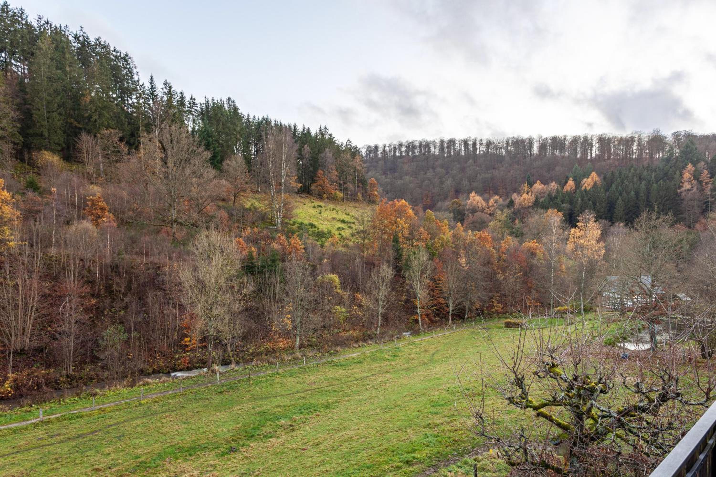 Baumgärtner